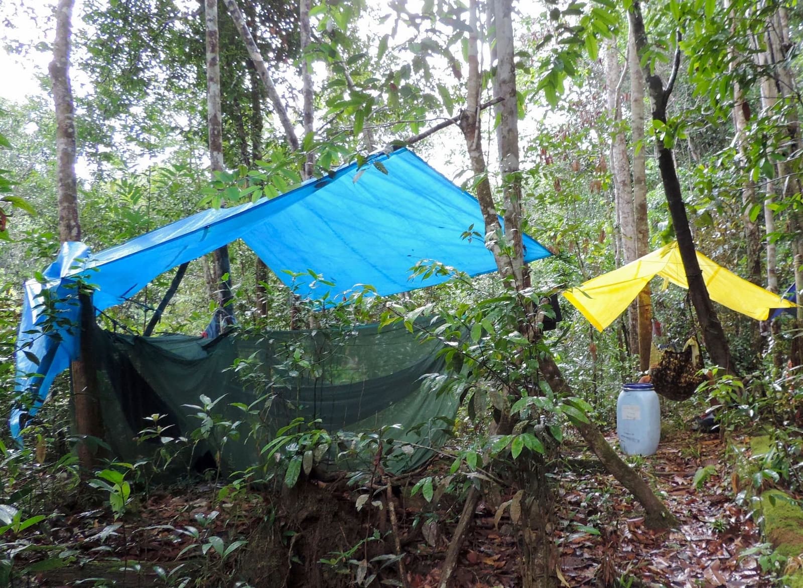 Home for the night, rigged in twenty minutes flat. A blue rain tarp and yellow tarp stretched between trees shelter a hammock with mosquito netting in dense rainforest — the rustic jungle camp included on the Amazon kayak tour in Brazil