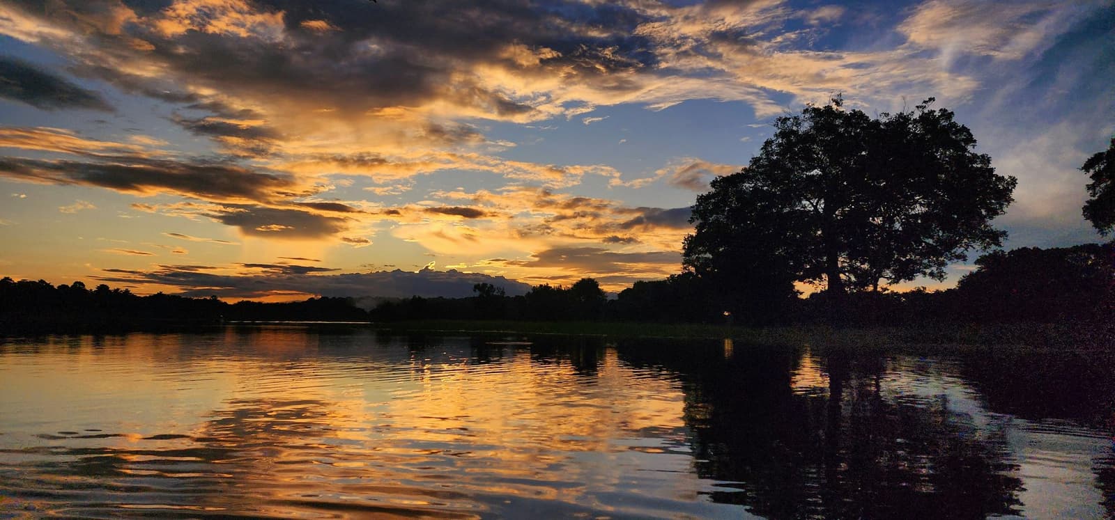 The river holds the sky like a mirror it borrowed and never gave back. Golden sunset reflected across a calm tropical river on an Amazon kayak tour in Brazil, with large tree silhouettes framing a dramatic cloud-streaked sky