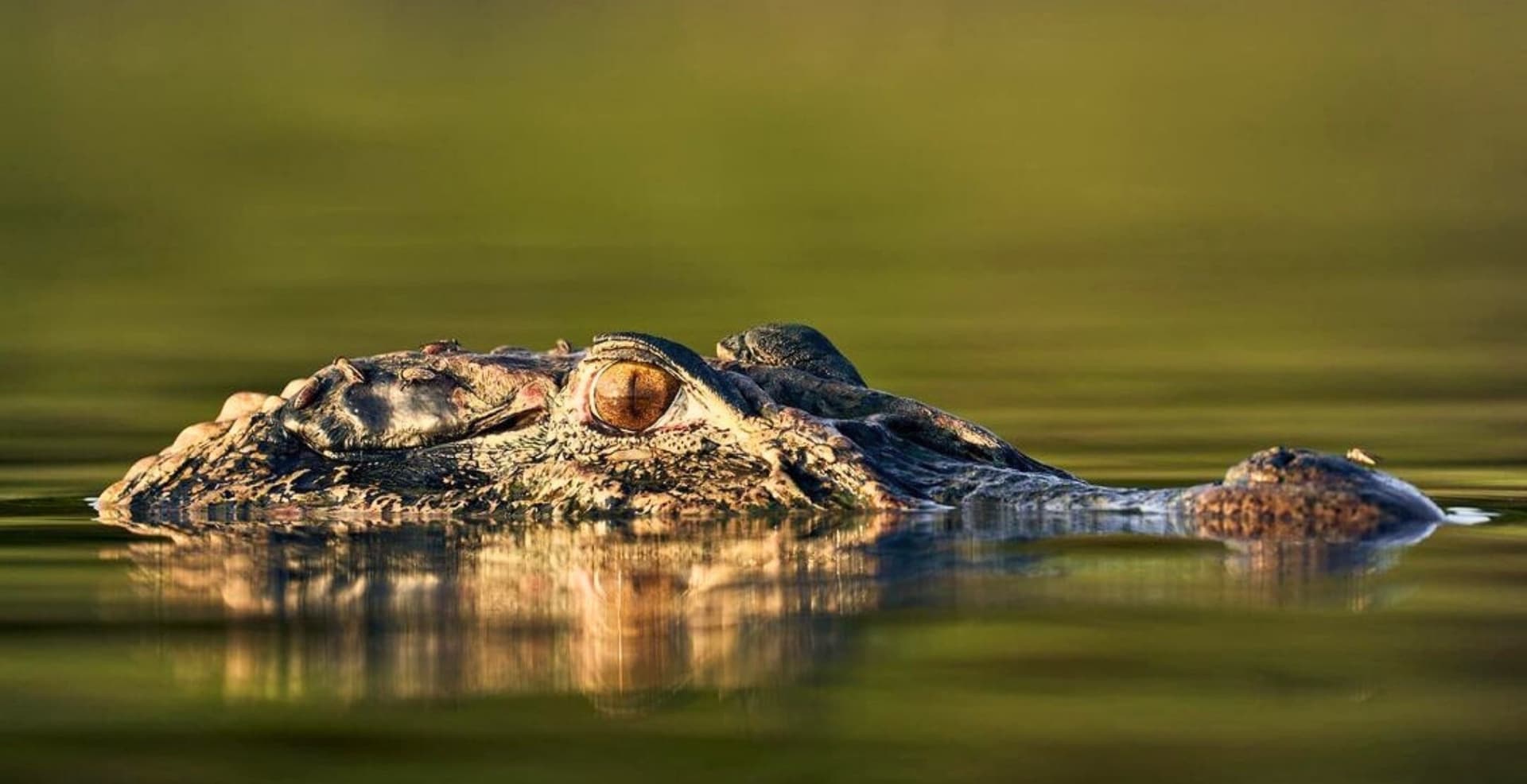 4-day Amazon Survival Tour 4-day Amazon Survival Tour