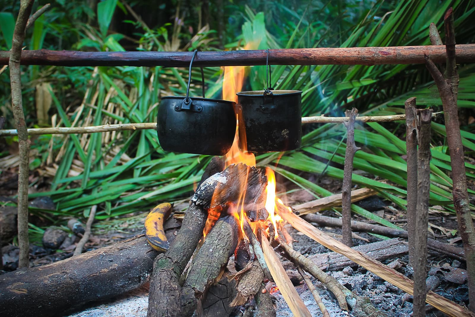 Dinner is on. The forest provides the kitchen, you provide the patience. Two blackened metal pots hanging over an open campfire on a rustic wooden frame during an Amazon survival tour, with dense tropical palm vegetation in the background