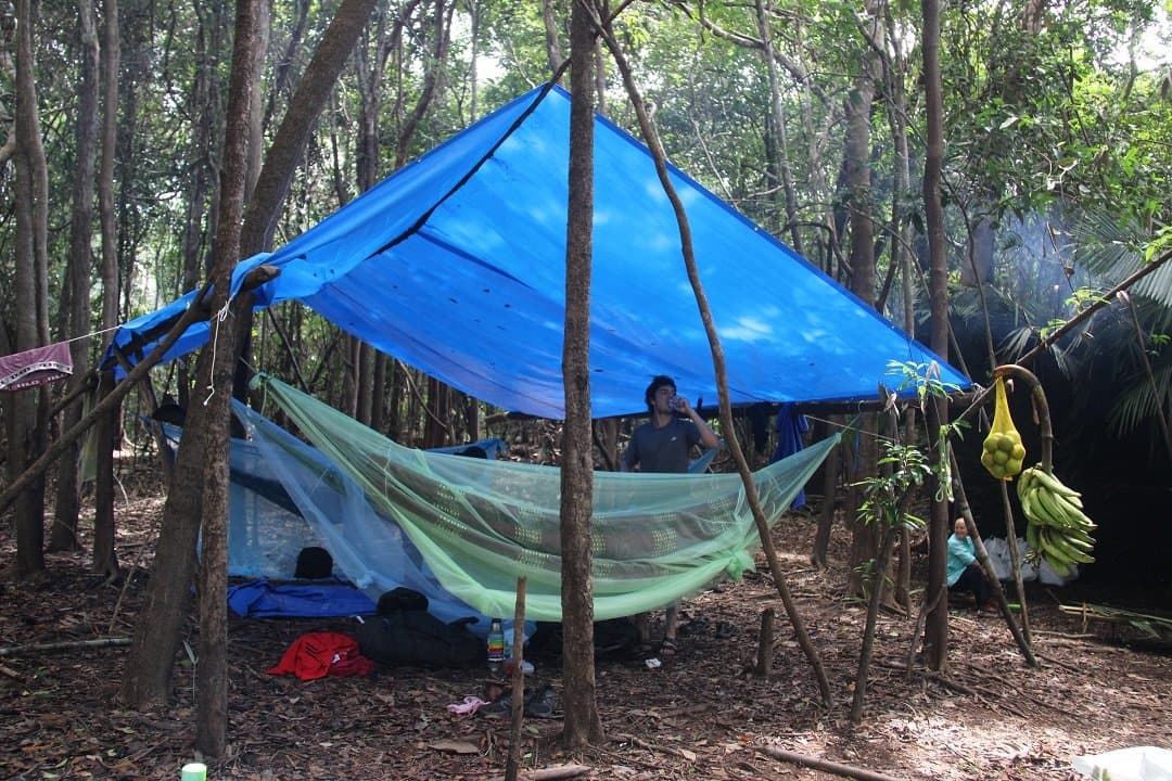 Home for the night: a hammock, a tarp, and a bunch of bananas you actually picked. A blue tarp rigged between trees shelters a mosquito-net hammock at an Amazon survival tour wild camp, with bananas hanging from a branch and a traveller resting beneath the canopy
