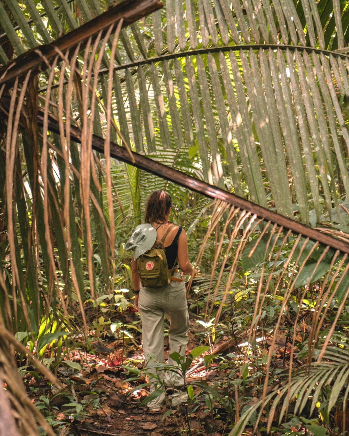 The forest has a way of making you feel both small and exactly right. A woman with a green backpack and sun hat walks a narrow trail through dense palm fronds on an Amazon survival tour
