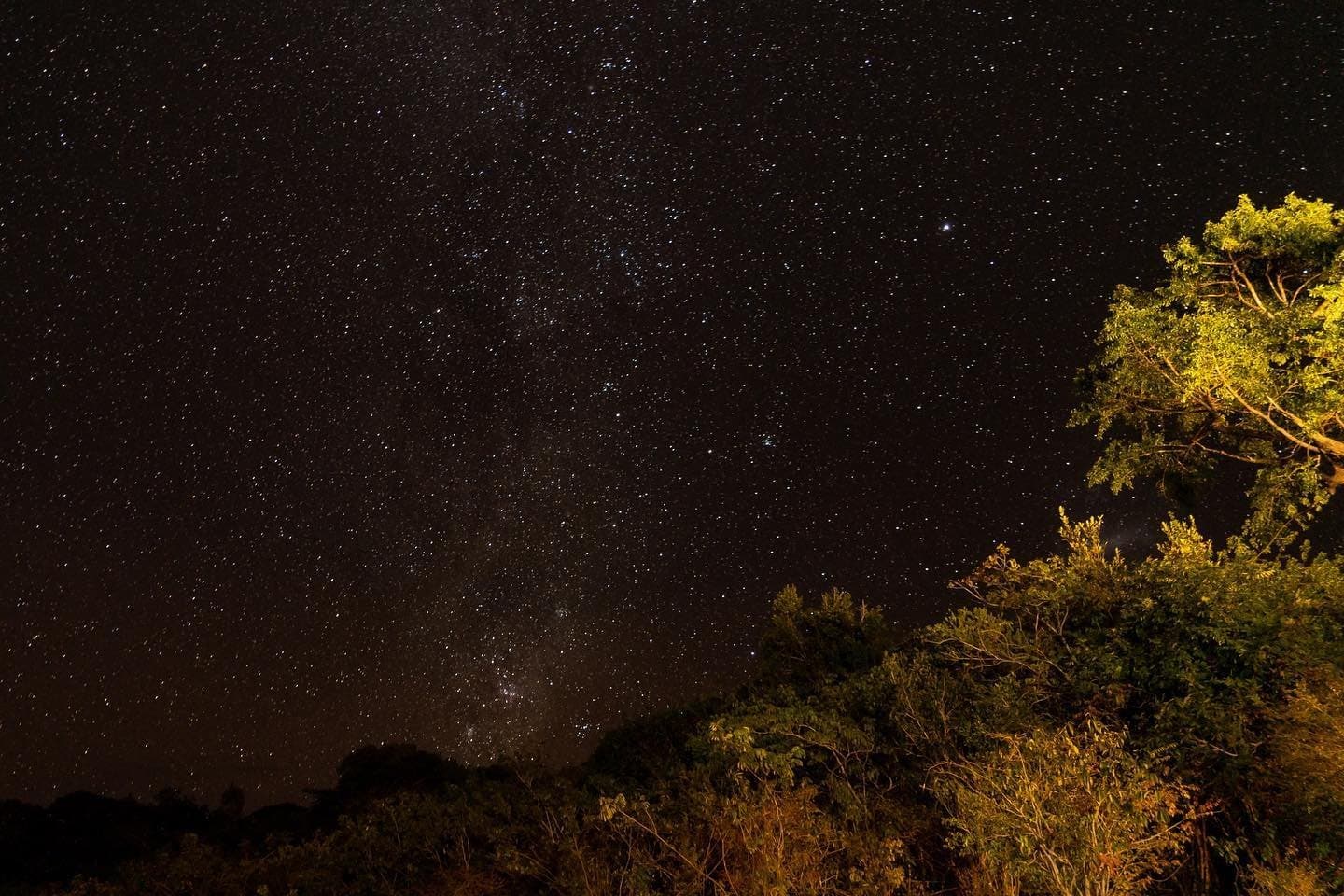 No city glow for hundreds of kilometres. Just this. The Milky Way stretches across a dark night sky above a canopy of trees illuminated by warm artificial light on an Amazon survival tour
