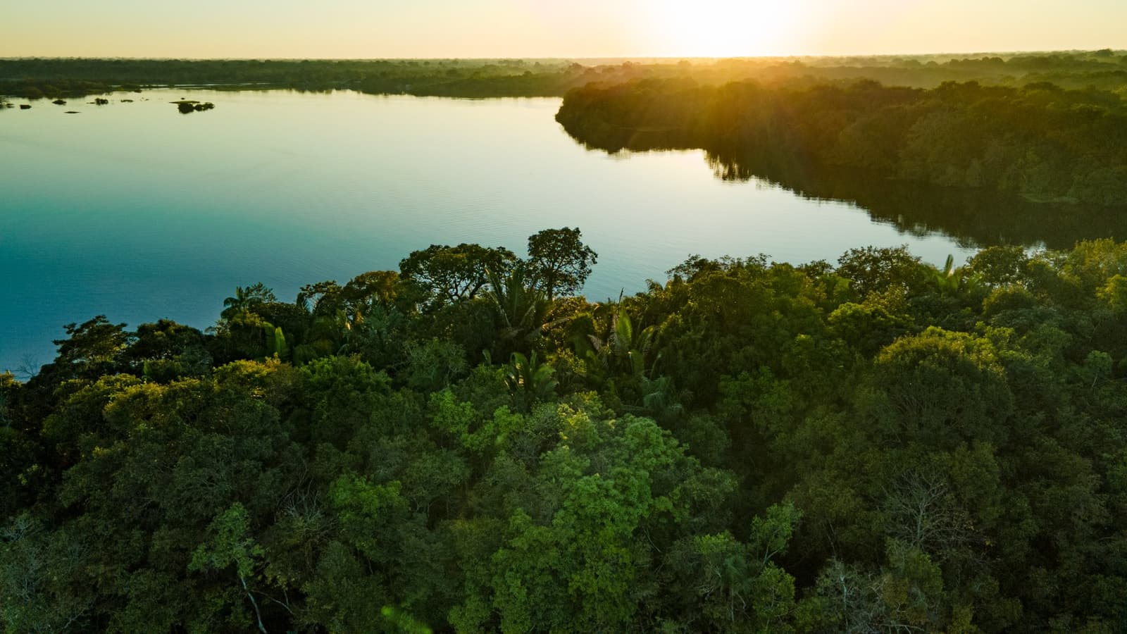 The forest and the river, negotiating the end of another day. Aerial view of a wide Amazonian river at golden-hour sunset, surrounded by dense tropical forest canopy on both banks, seen on an Amazon trek and survival tour