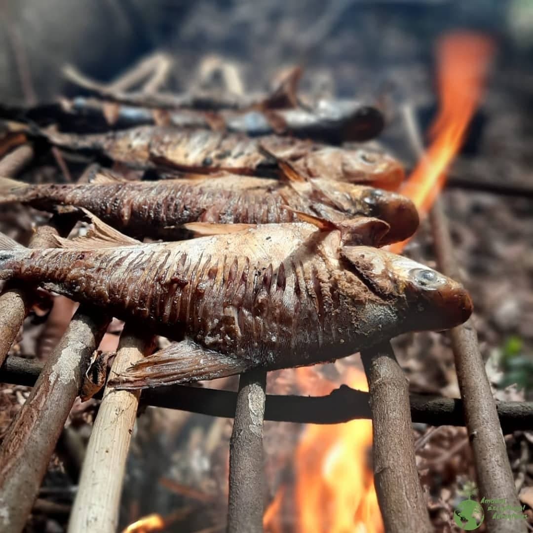 Lunch sorted, no restaurant required. Several small whole fish grilling over open flames on a rustic wooden rack during an Amazon trek and survival tour