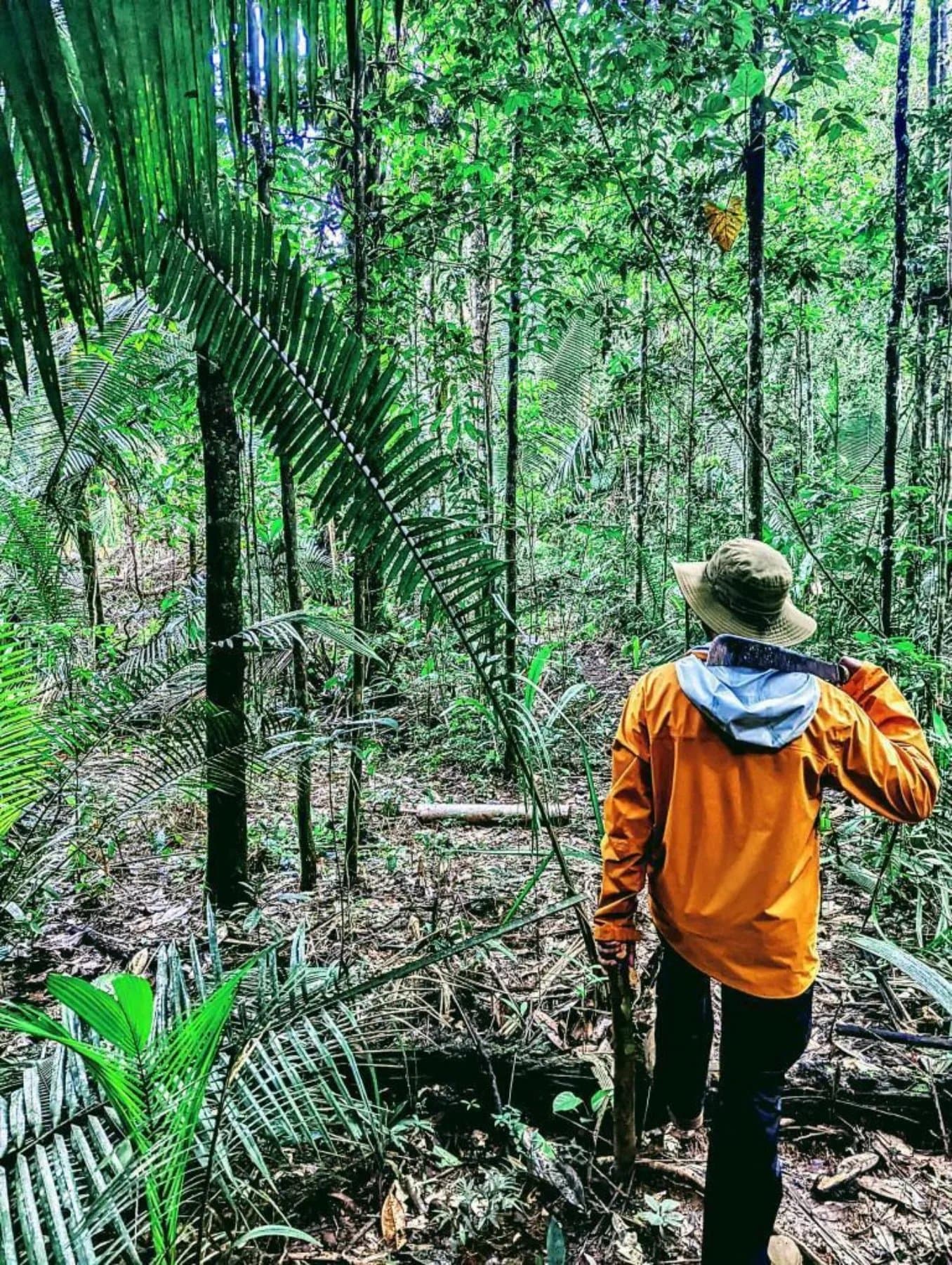 Your guide reads the forest before you even notice it's talking. A guide in an orange jacket and wide-brimmed hat leads an Amazon trek and survival tour through dense rainforest undergrowth, carrying a machete among towering palms and tropical trees