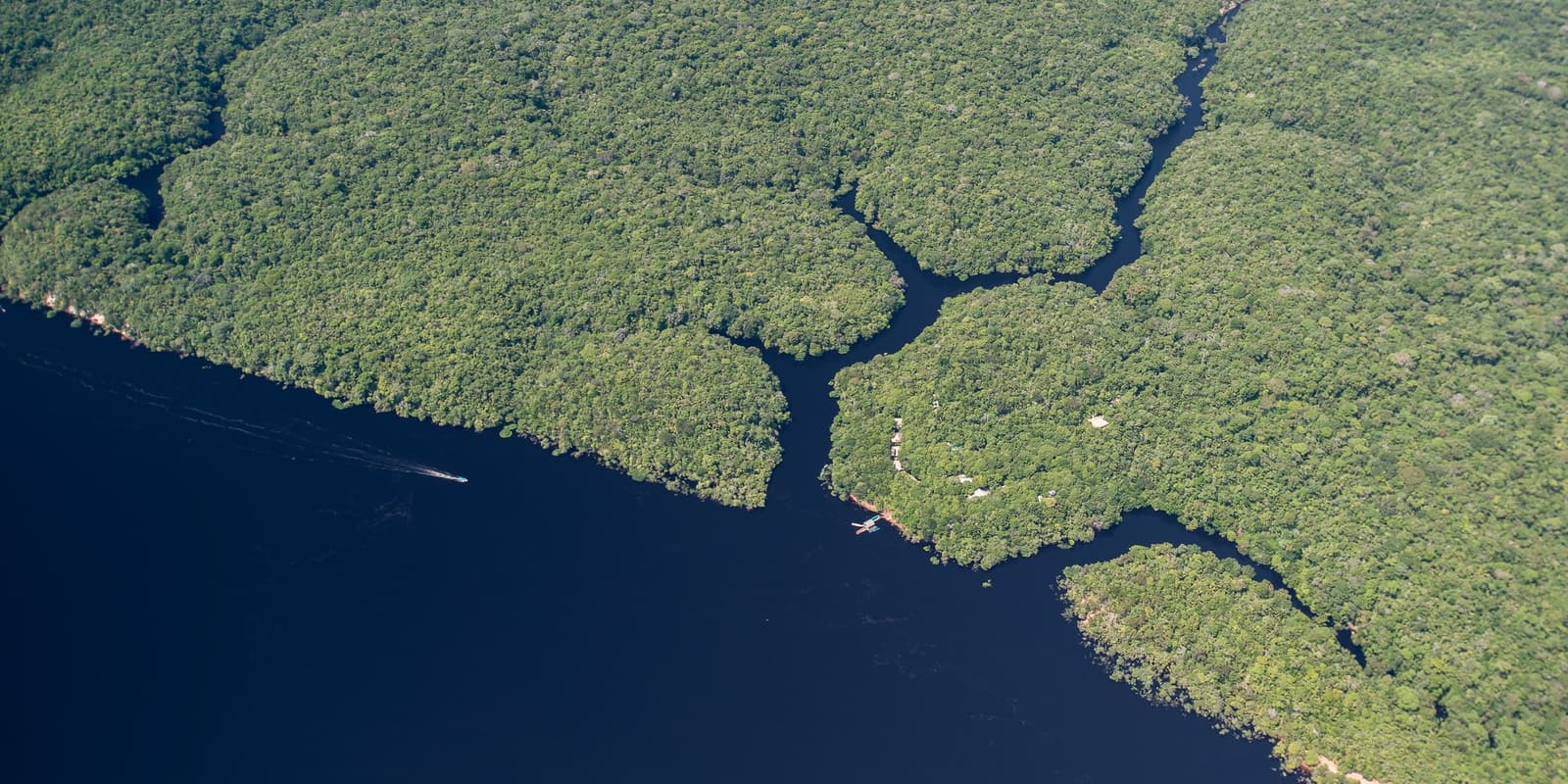 From up here, the forest looks like it's drinking the river one channel at a time. Aerial view of Anavilhanas Jungle Lodge Brazil nestled at the edge of dark Rio Negro waters, surrounded by an unbroken carpet of dense Amazon rainforest canopy with narrow channels threading between forested islands, a small boat leaving a wake on the river below