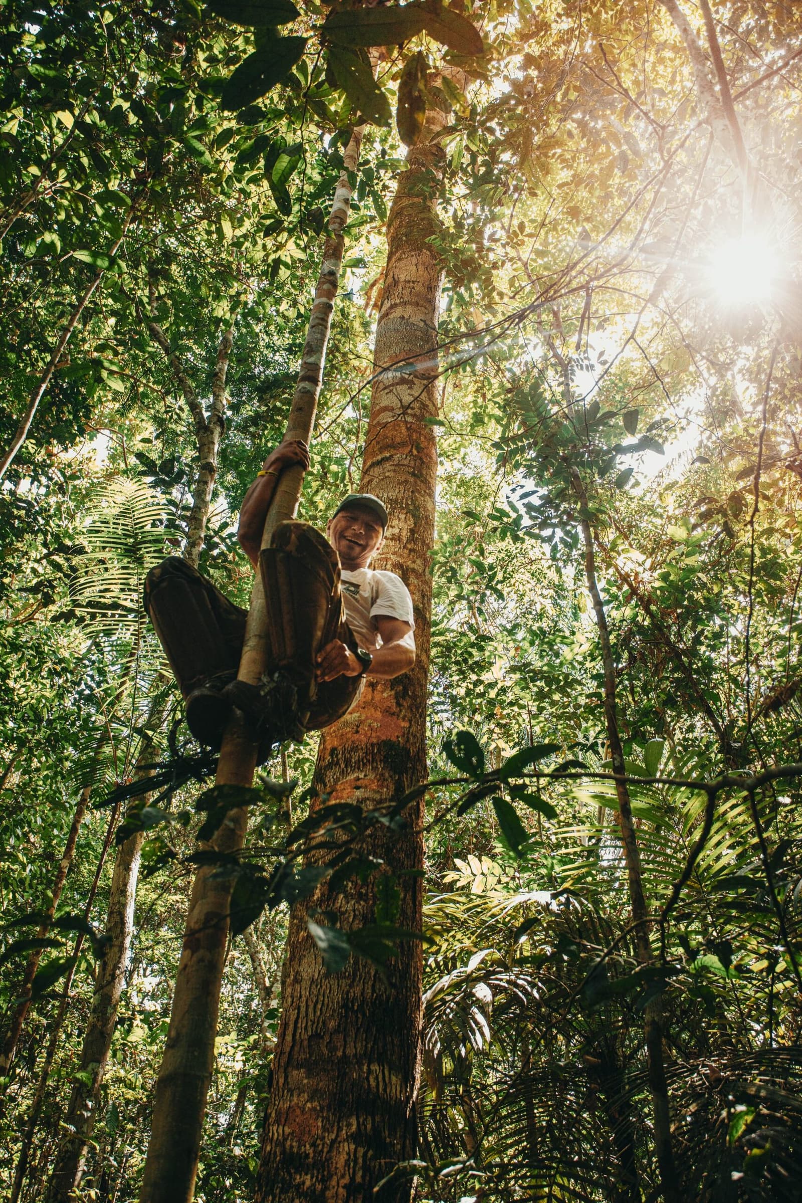 Some forest knowledge you can only learn ten metres off the ground. A smiling local guide climbs barefoot up a tall rainforest tree at Anavilhanas Jungle Lodge Brazil, sunlight streaming through the dense green canopy above
