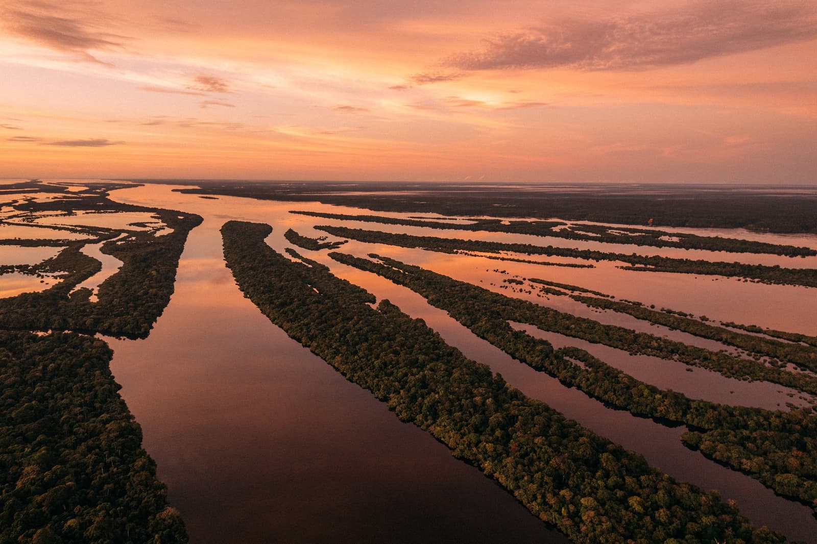 The river doesn't just flow here, it spreads, splits, and takes over the forest entirely. Aerial view of the Anavilhanas Jungle Lodge Brazil region at sunrise, with hundreds of forested river islands weaving through mirror-still dark waters under a vivid orange and pink sky
