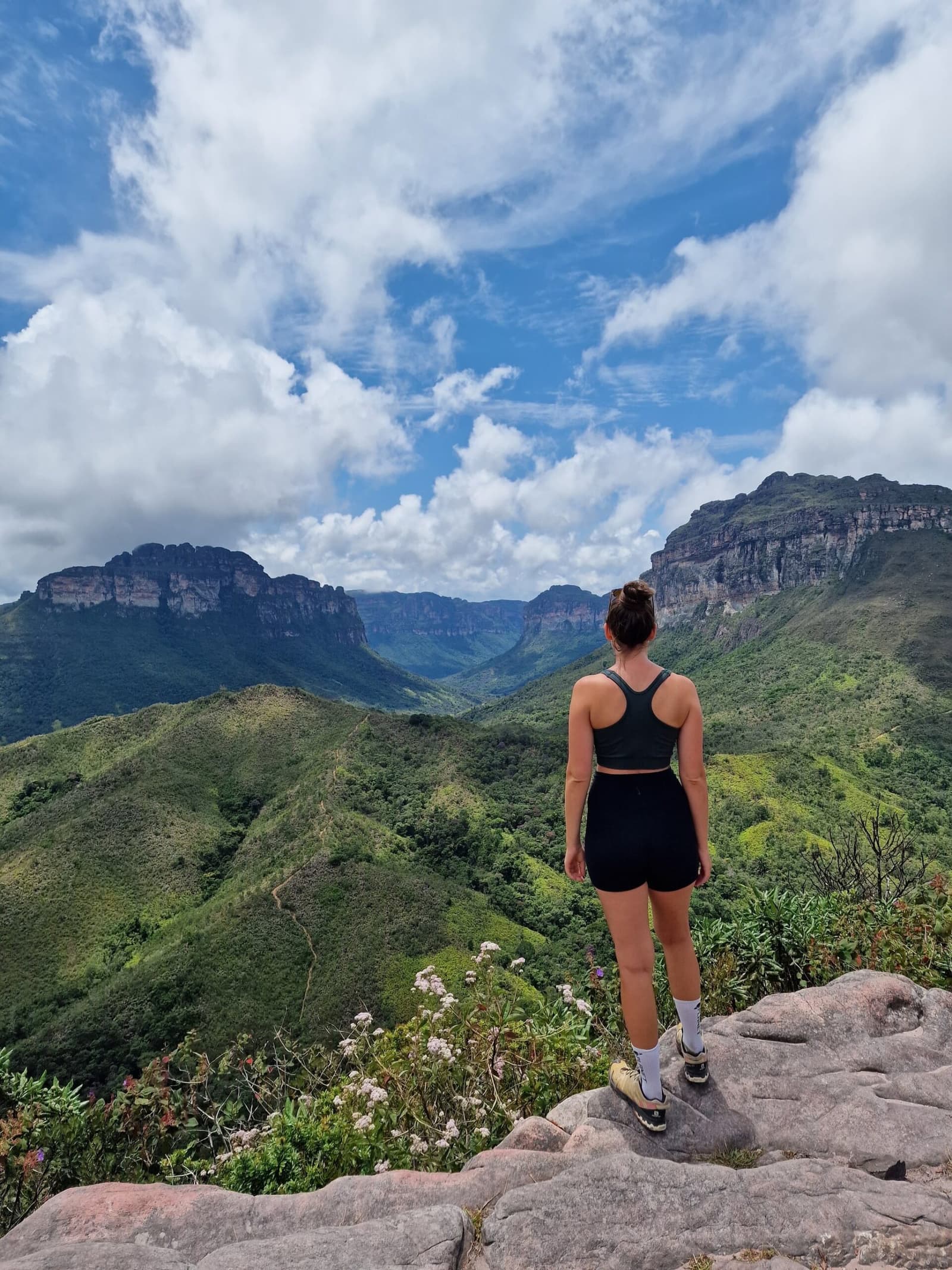 That moment when the valley opens up and you forget what your legs were complaining about. A hiker stands on a rocky outcrop overlooking a vast green valley flanked by towering sandstone escarpments on a chapada diamantina hike, under a dramatic blue sky filled with cumulus clouds