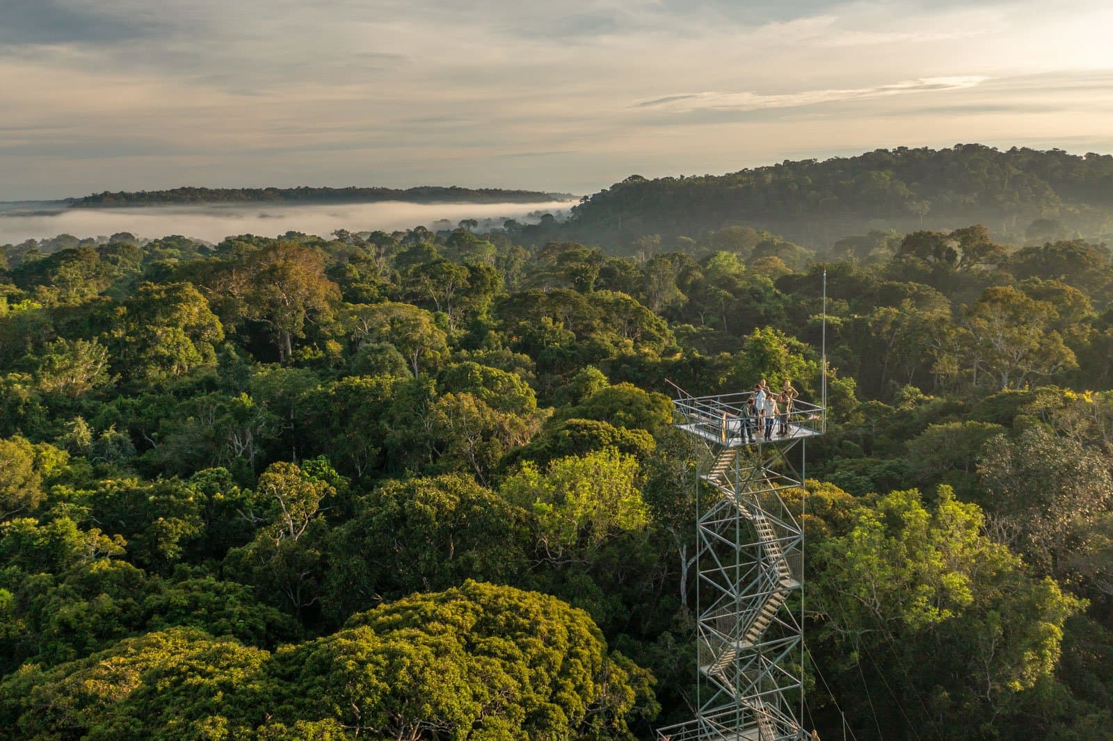 Up here, the forest stops being background and becomes the whole world. Visitors stand on a tall metal observation tower rising above the Amazon rainforest canopy at Cristalino Jungle Lodge, with low morning mist drifting over the treetops and forested hills in the background