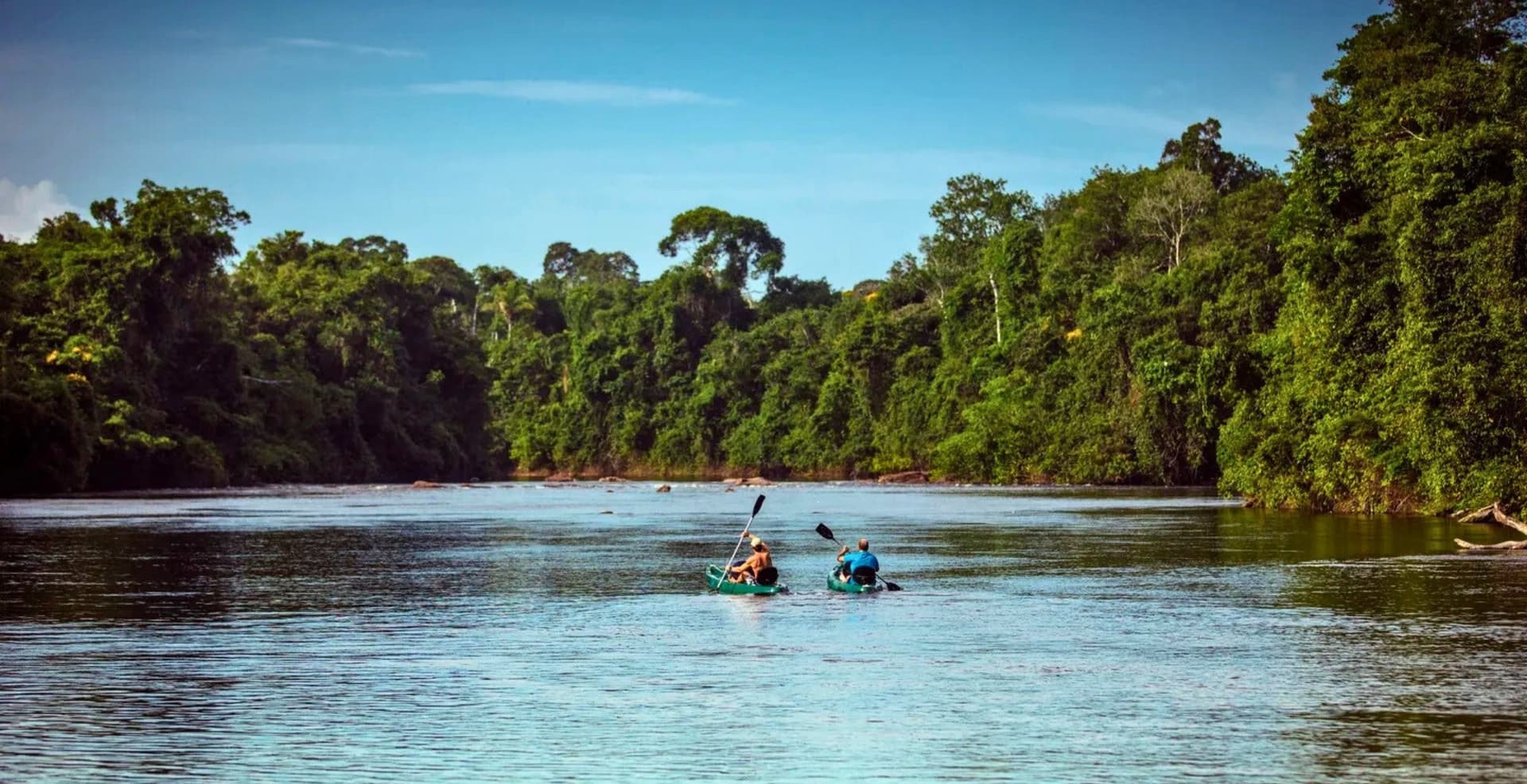 Cristalino Lodge: Your Gateway to the Amazon Sanctuary Cristalino Lodge: Your Gateway to the Amazon Sanctuary