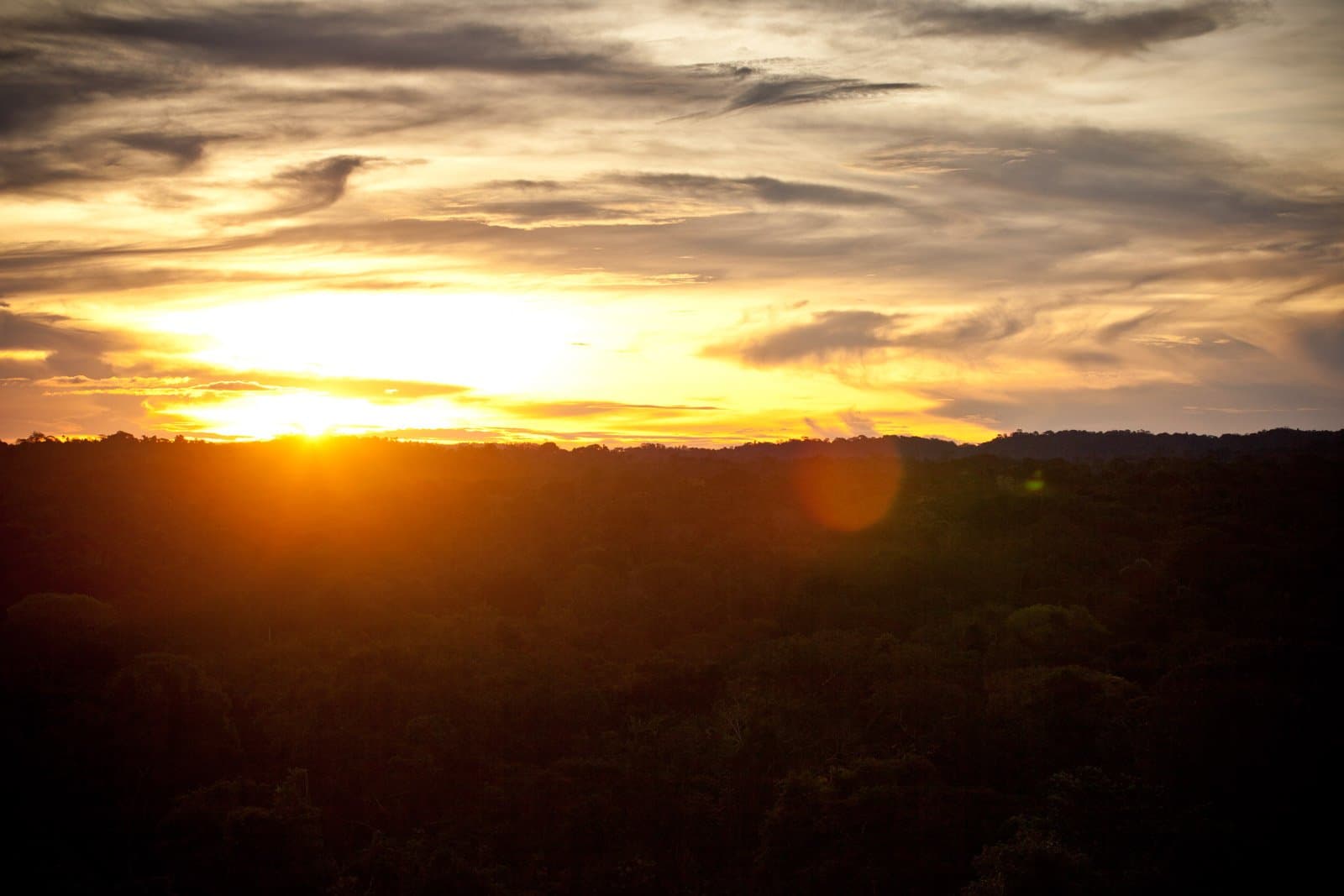 The forest holds its breath as the last light floods in. A golden sunset blazes over an unbroken tropical forest canopy at Cristalino Jungle Lodge, with dramatic clouds streaked across the wide sky