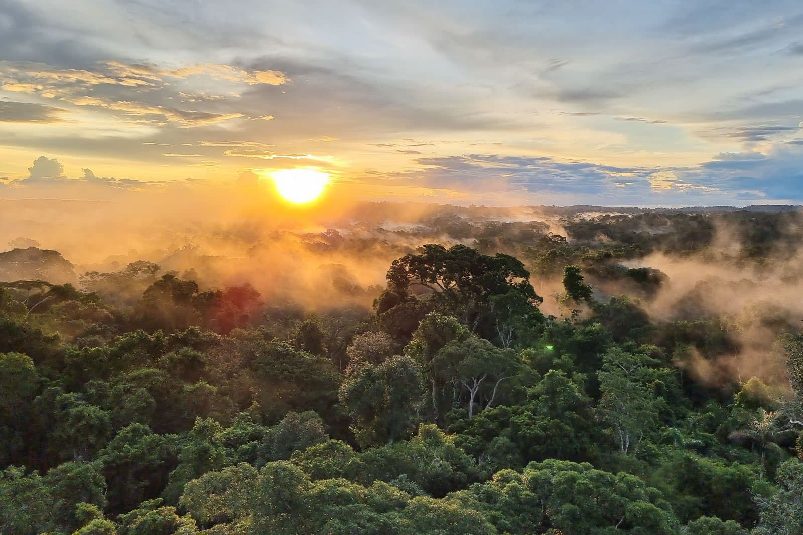 The forest breathes before the day even begins. Golden sunrise breaking over a misty tropical rainforest canopy at Cristalino Jungle Lodge, with morning fog drifting between the treetops under a dramatic sky