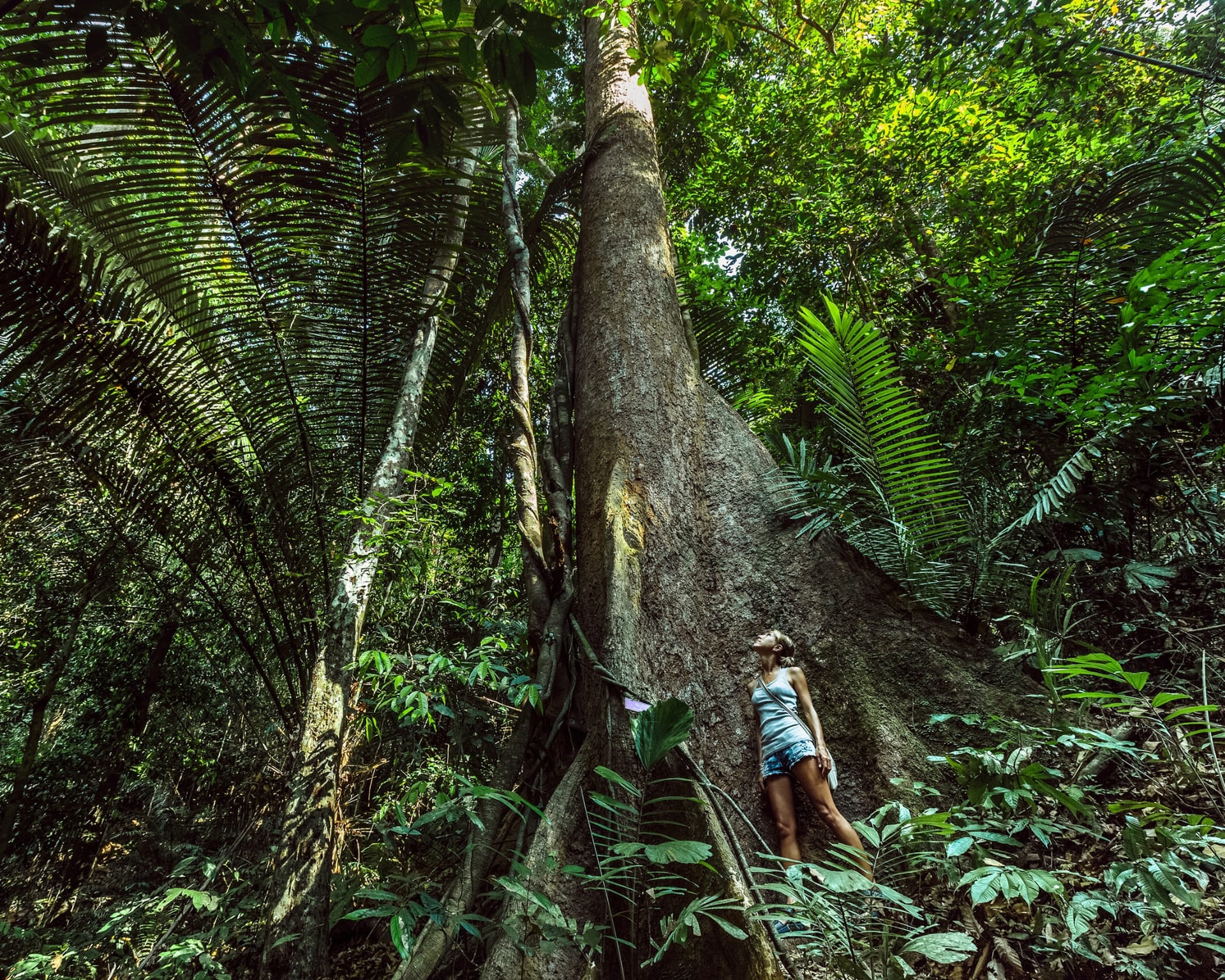 Why Brazil’s Remote Outdoors are Becoming a Haven for Foreign Female Travelers Why Brazil’s Remote Outdoors are Becoming a Haven for Foreign Female Travelers