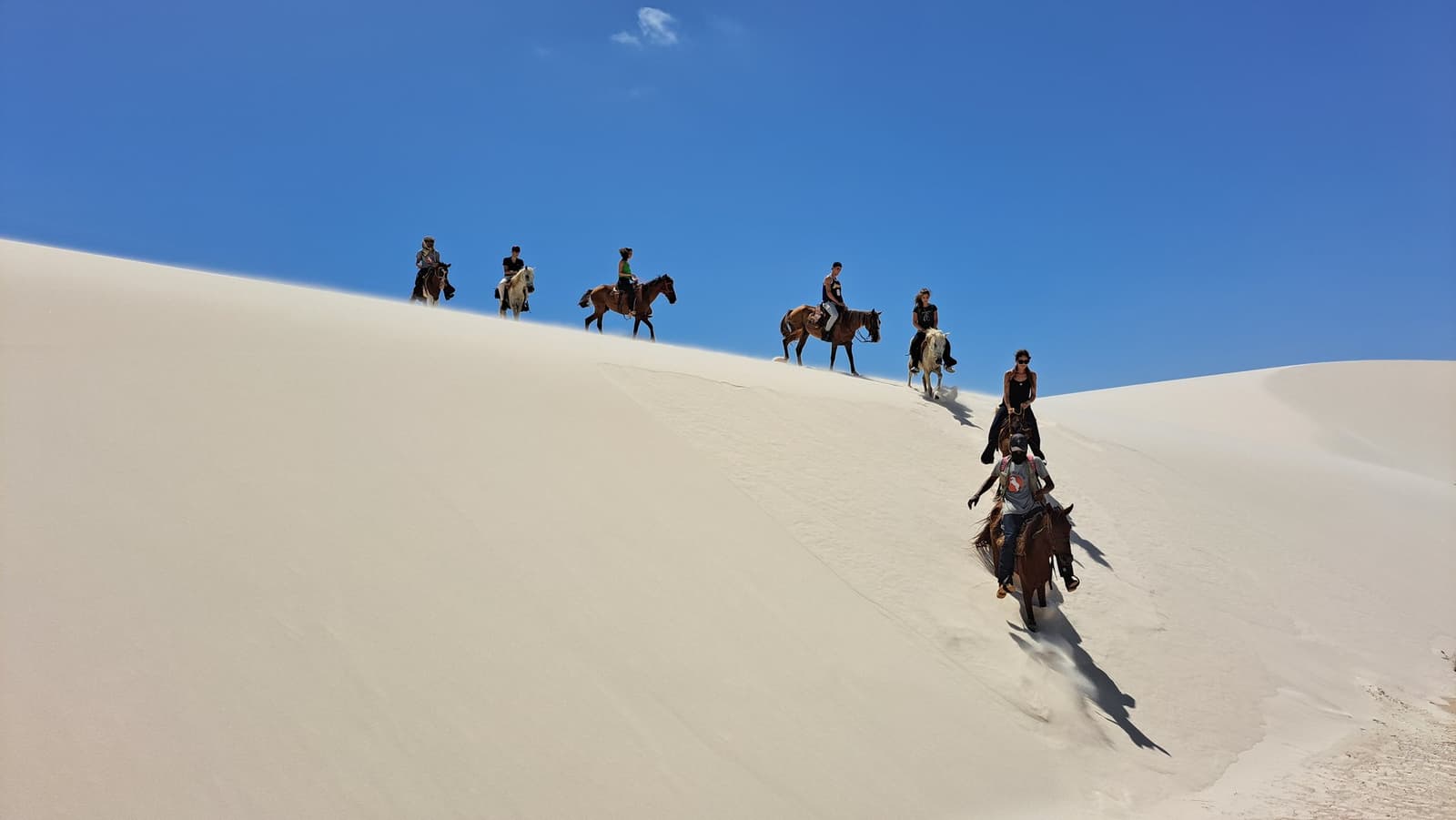 Seven riders, one dune, zero roads. This is how you cross Lençóis Maranhenses. A line of riders on horseback descends a steep white sand dune crest during a horseback riding Lençóis Maranhenses tour, set against a vivid blue sky