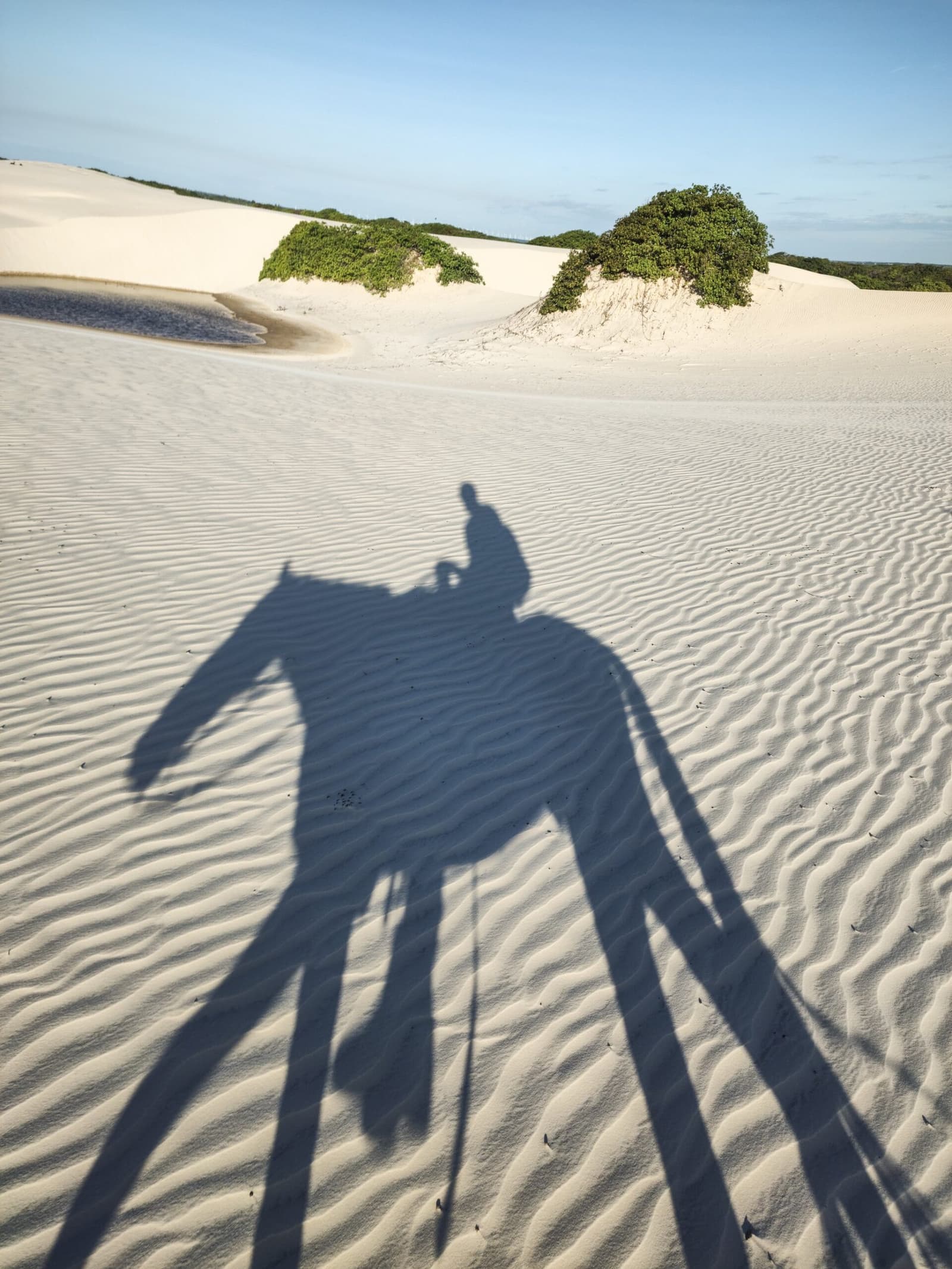 Your shadow out here has more confidence than most people ever will. Long shadow of a rider on horseback cast across wind-rippled white sand dunes with scattered green shrubs and a shallow lagoon in the background during a horseback riding Lençóis Maranhenses tour