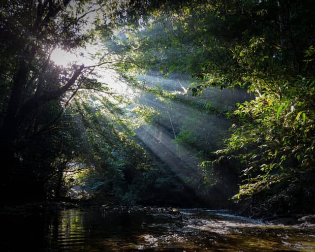Best Places to Visit in the Amazon, Brazil Best Places to Visit in the Amazon, Brazil