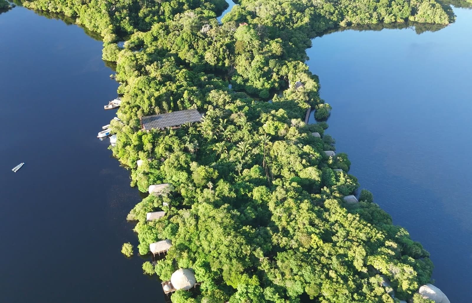 The lodge hides so well in the canopy, the forest barely notices it's there. Aerial view of Juma Amazon Jungle Lodge nestled within a dense rainforest island surrounded by dark river waters, with thatched bungalows, a solar-panelled roof, and small boats visible through the canopy