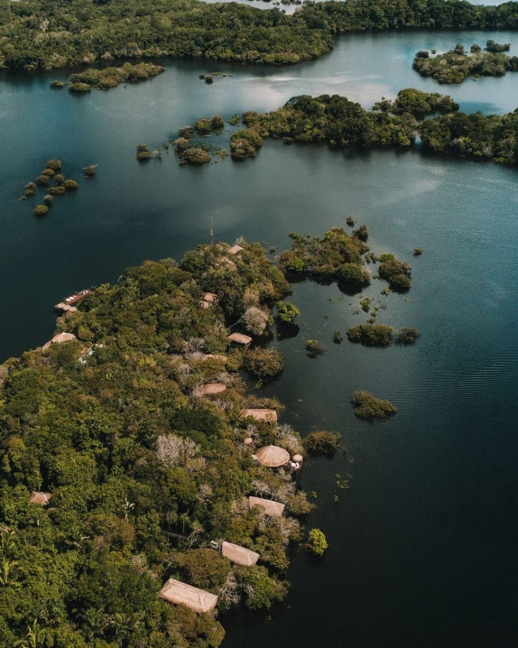 Your bungalow is out there somewhere, hidden under all that green. Aerial view of Juma Amazon Jungle Lodge nestled among dense rainforest canopy on a river island, with thatched-roof bungalows visible through the trees and dark Amazon waters surrounding the land on all sides
