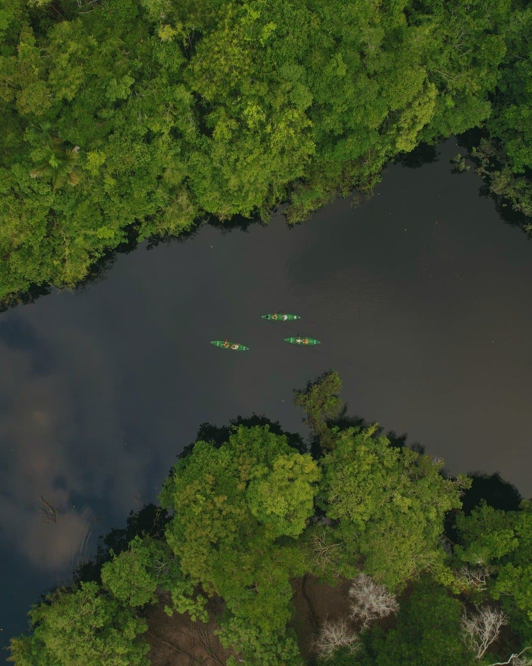 From up here, the forest swallows everything, except you. Aerial view of three canoes paddling across a dark-water river channel surrounded by dense Amazon rainforest canopy at Juma Amazon Jungle Lodge