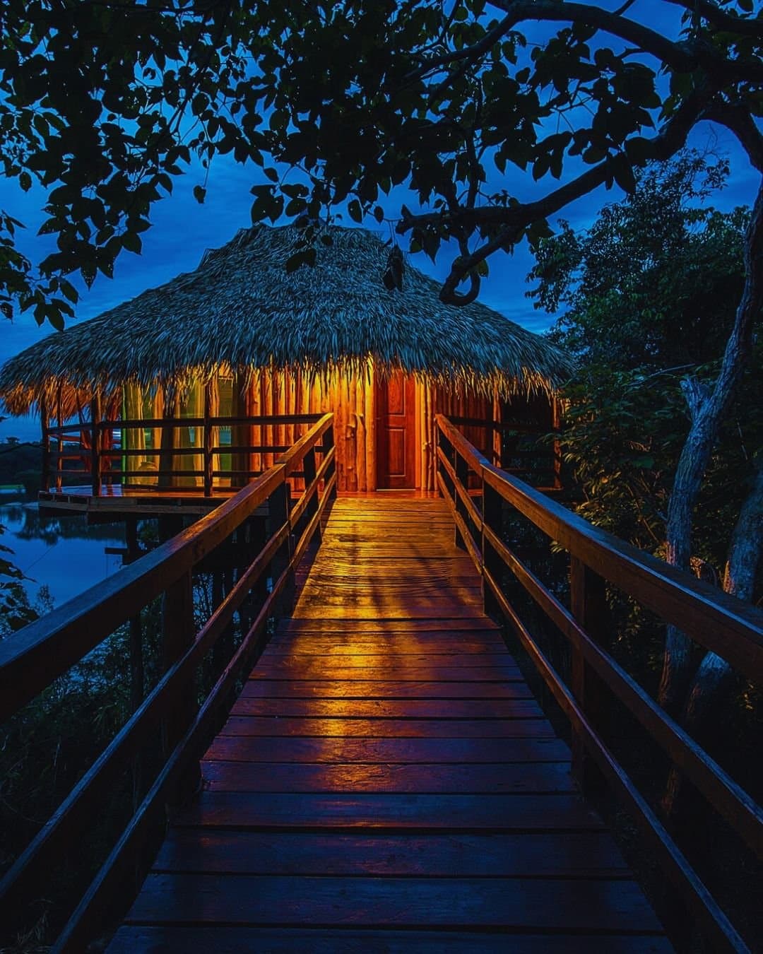 Your room is ready, and the Amazon is doing the mood lighting. A wooden boardwalk leads through jungle canopy toward a warmly lit thatched bungalow at Juma Amazon Jungle Lodge, glowing amber against a deep blue twilight sky