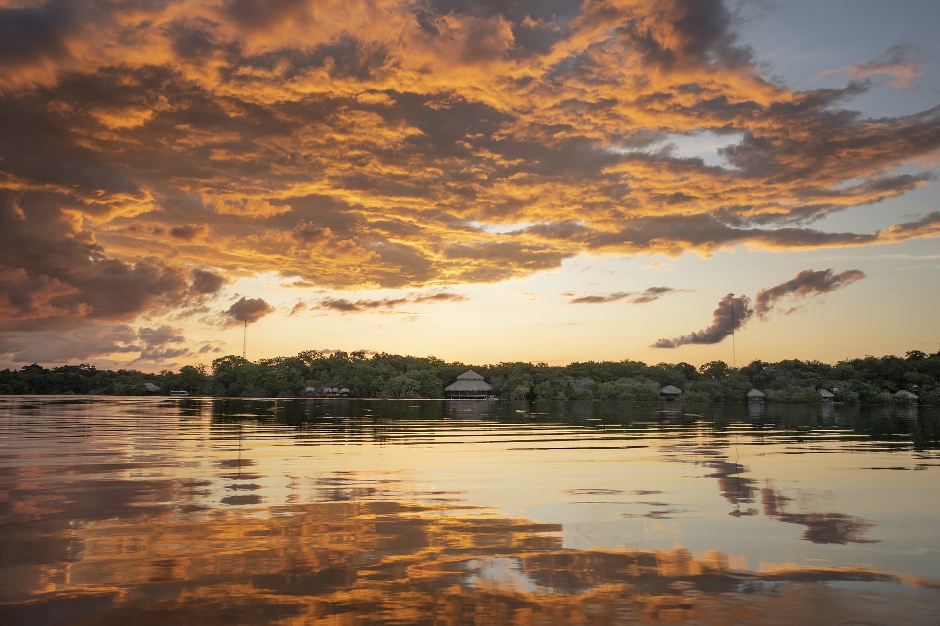 Juma Amazon Lodge: 5-Day Jungle Tour from Manaus Juma Amazon Lodge: 5-Day Jungle Tour from Manaus