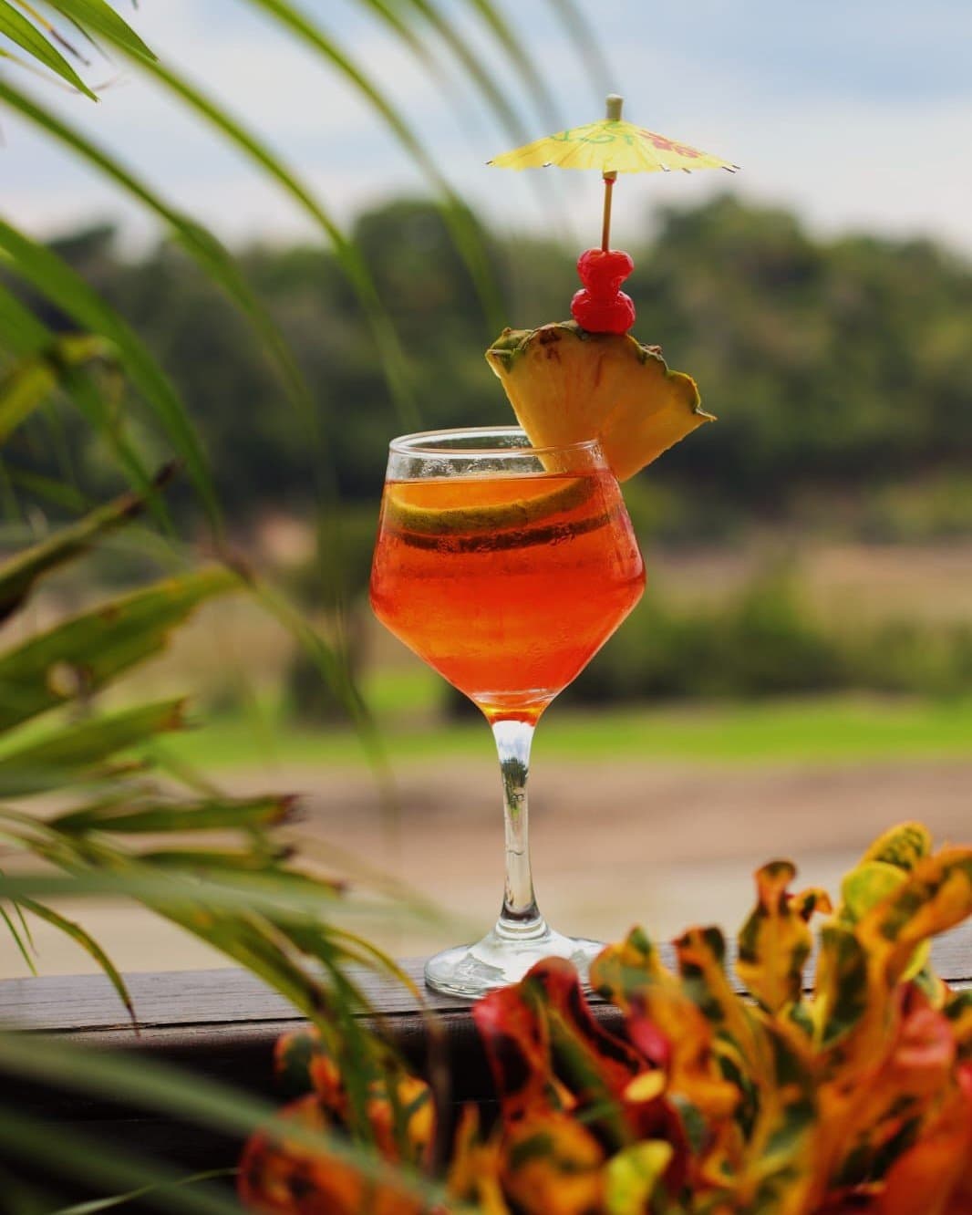 The jungle can wait five minutes while you sip this. A tropical orange cocktail garnished with pineapple, cherries and a paper umbrella served at Juma Amazon Jungle Lodge, with lush greenery blurred in the background