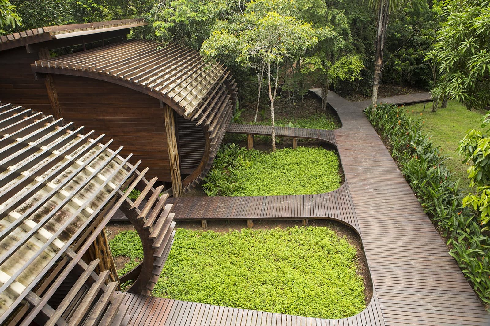 Good design knows when to follow the forest's lead. Aerial view of a luxury amazon lodge brazil showing curved hardwood boardwalks weaving between lush green groundcover gardens and a slatted timber pavilion roof, with dense rainforest canopy in the background
