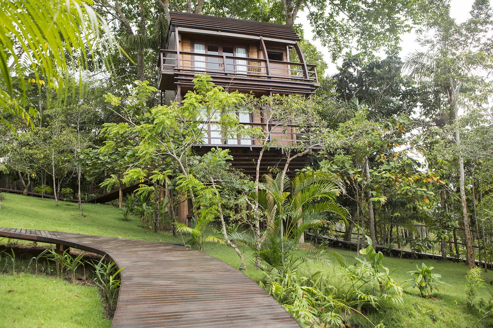 Your room in the canopy, with a proper boardwalk to find it. A multi-storey wooden treehouse at a luxury amazon lodge brazil rises above lush tropical vegetation, approached by a curved hardwood boardwalk through manicured rainforest grounds