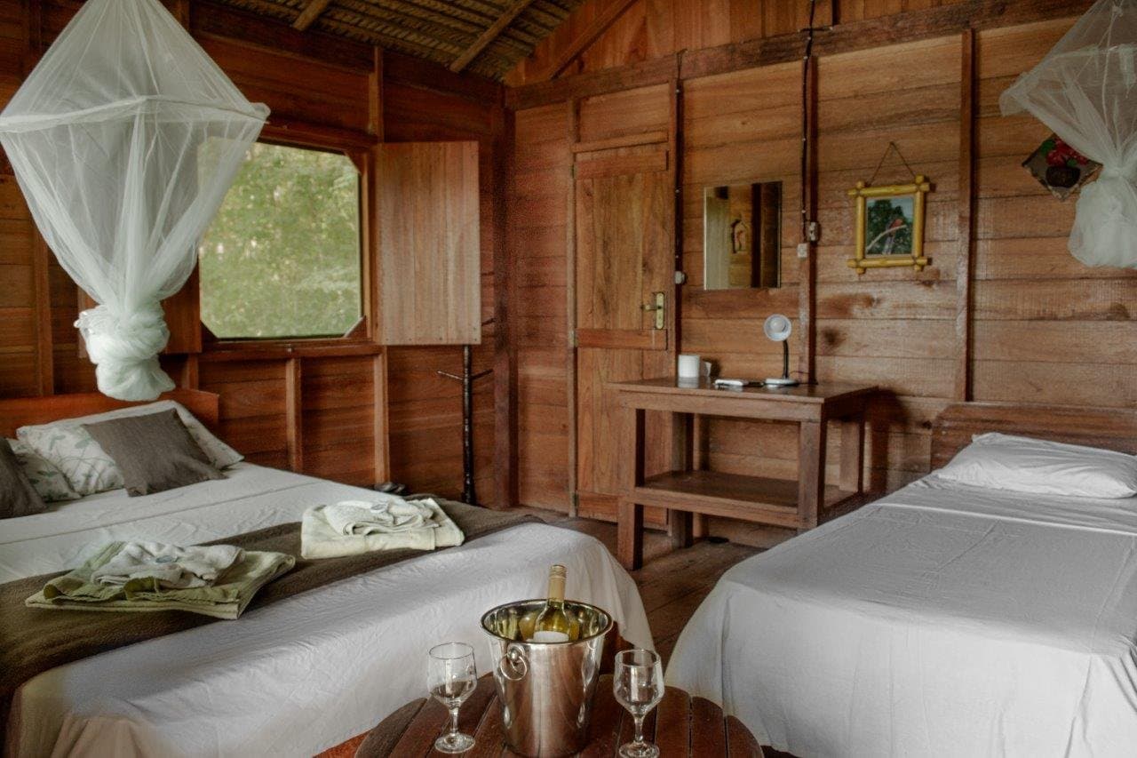 Crisp linens, candlelight, and a chilled bottle waiting — rustic comfort deep in the rainforest. Photo 1