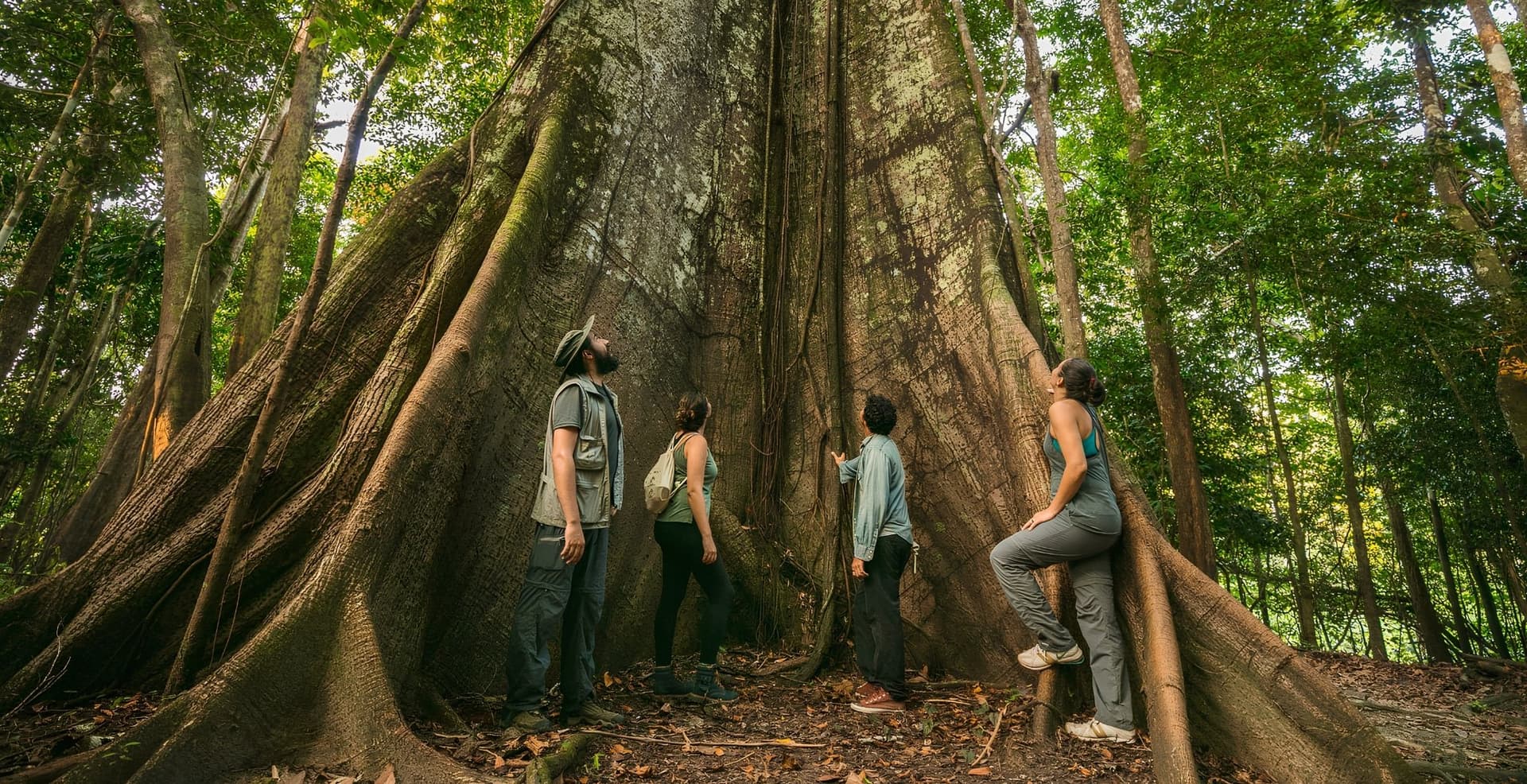 3-day Amazon Jungle Tour from Manaus, Brazil 3-day Amazon Jungle Tour from Manaus, Brazil