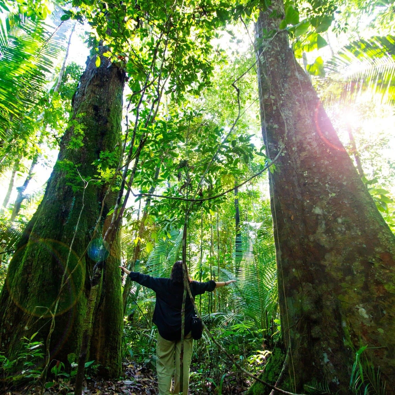 Tiny against the giants — the Amazon puts scale into perspective. Photo 1