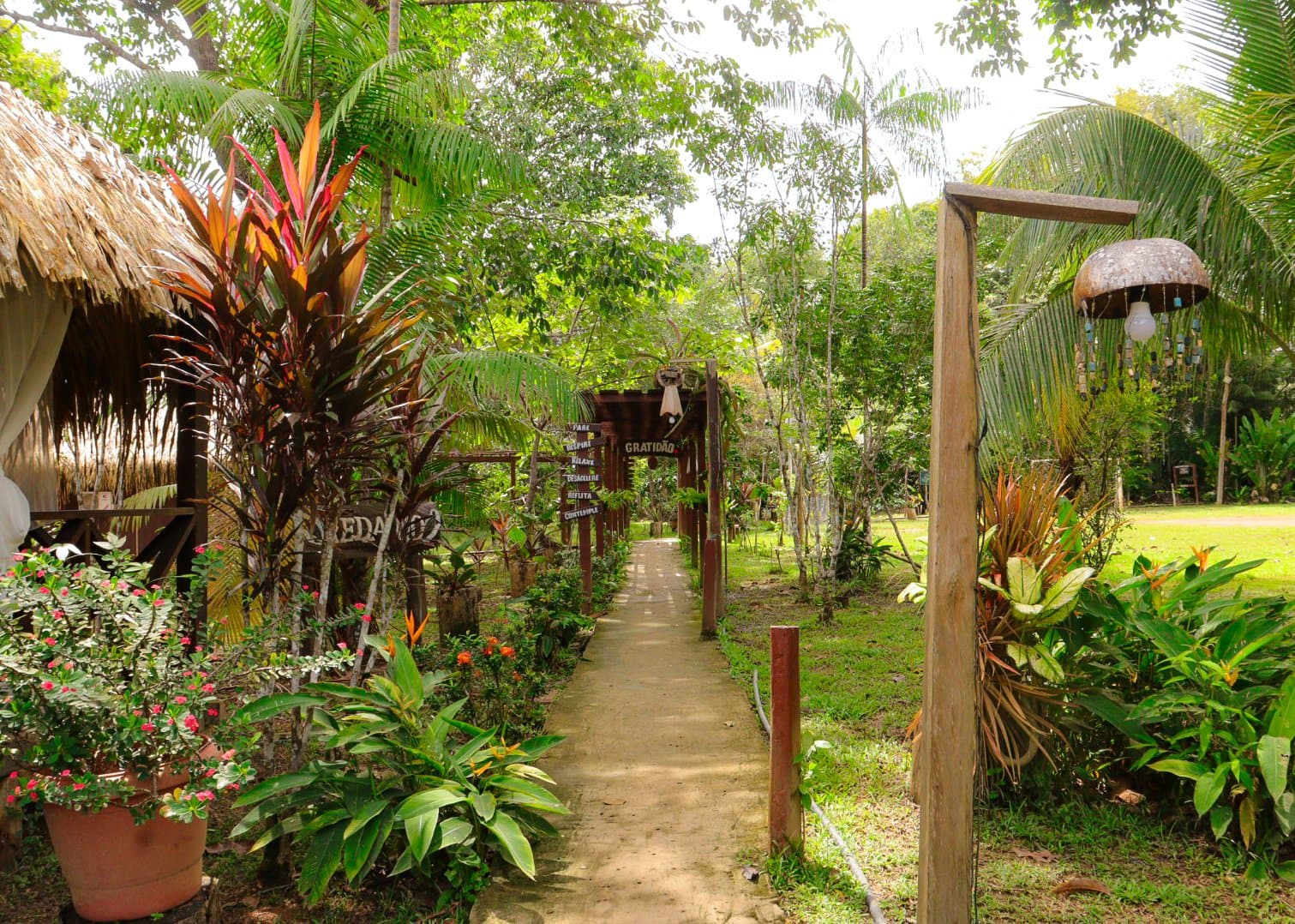 Gratitude signs overhead, bromeliads at your feet — the lodge garden sets the tone. Photo 4