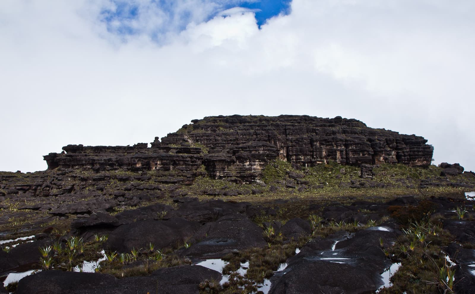 Two billion years of geology, just sitting there, completely unbothered. Layered black sandstone cliffs rise steeply on the Mount Roraima hike, with sparse endemic plants and reflective puddles on the dark rock foreground