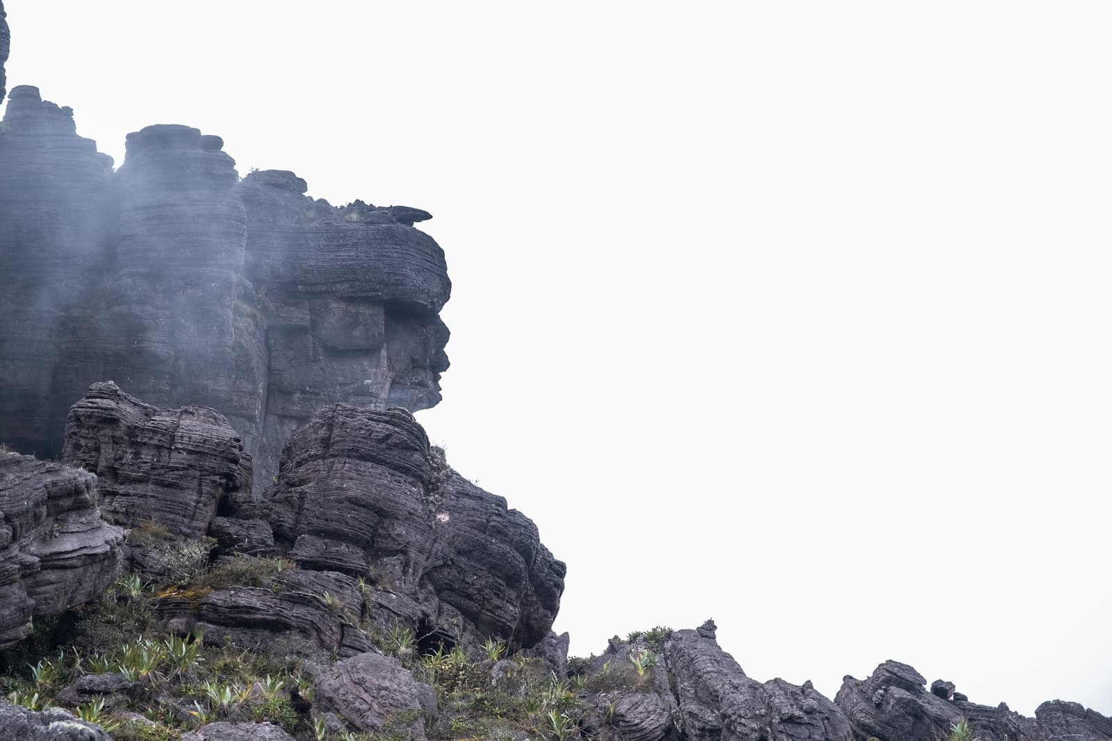 Roraima has a way of watching you back. Layered sandstone rock formations rise through swirling mist on the Mount Roraima trek, their weathered faces resembling ancient sentinels on the plateau