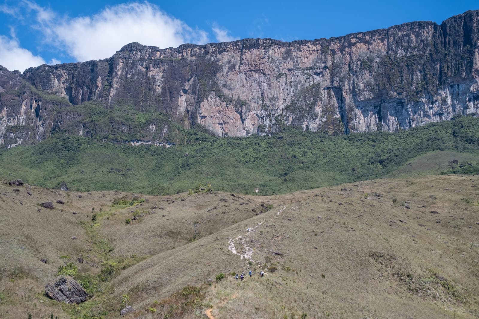 Small figures, big wall, the tepui has a way of putting things in perspective. A small group of trekkers follows a winding trail across open savannah grassland on the Mount Roraima trek, dwarfed by the sheer sandstone cliffs of the tepui's vertical wall rising behind them