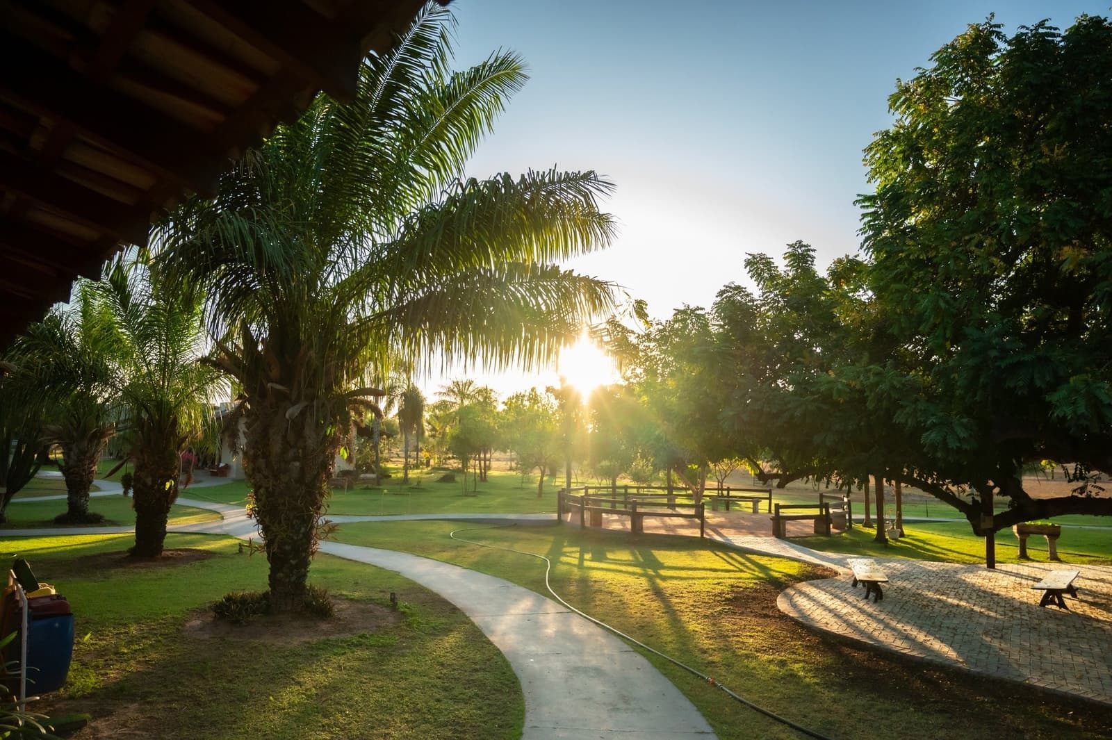 The kind of evening light that makes you forget to check your phone. Sun bursting through palm and tropical trees at golden hour over the manicured grounds of a Pantanal jaguar budget safari lodge, with a winding footpath and wooden fence lit by warm rays