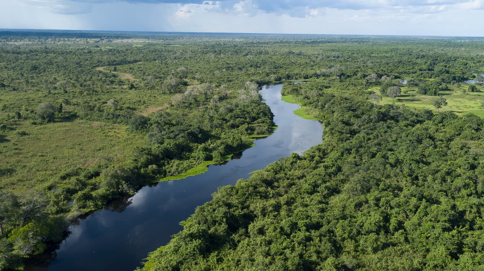 Out here, the river sets the schedule for everything else. Aerial view of a dark, mirror-still river winding through dense tropical gallery forest on a pantanal jaguar budget safari route, with open floodplains stretching to the horizon under a stormy sky