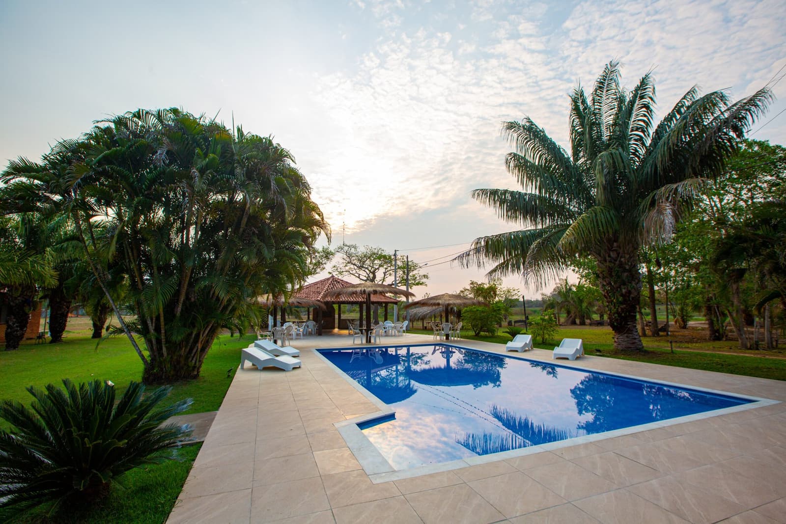 After a long day on the water, this pool earns every minute of your time. Outdoor swimming pool with sun loungers and a thatched gazebo surrounded by palm trees at a lodge on a pantanal jaguar safari porto jofre itinerary