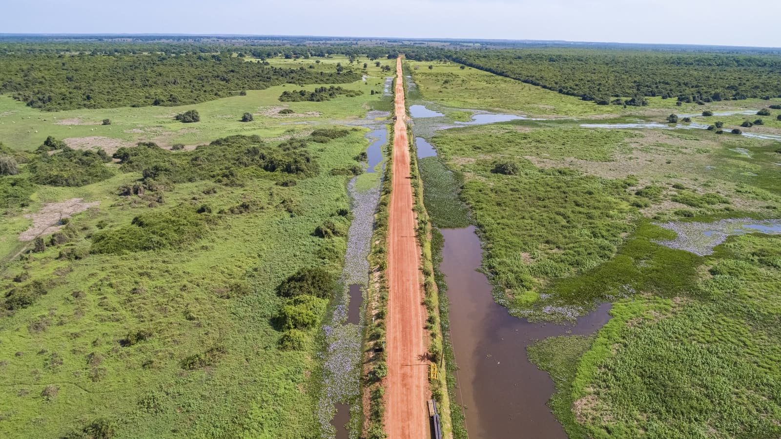 The road doesn't fight the wetlands here, it just quietly shares them. Aerial view of a red dirt road stretching to the horizon across the flooded wetlands of the Pantanal jaguar safari Porto Jofre route, flanked by brown water channels and vivid green vegetation