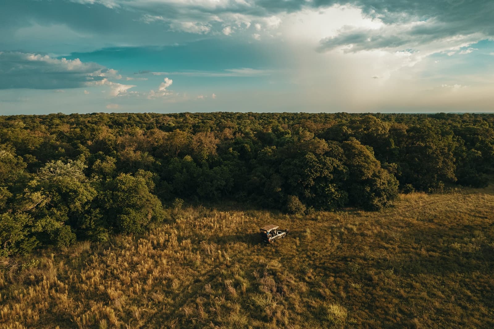 One vehicle, a whole lot of wilderness, and the afternoon light doing its thing. Aerial view of a safari vehicle dwarfed by vast golden grassland and dense woodland canopy during a pantanal luxury safari