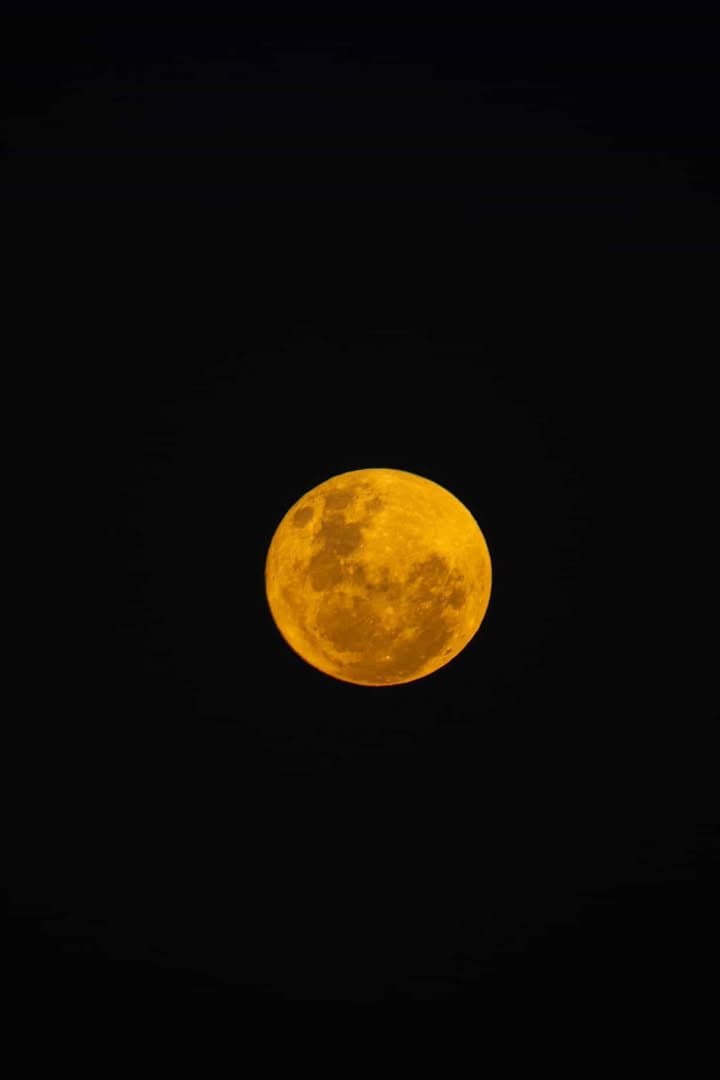 Nights in the Pantanal come with their own kind of theatre. A glowing amber full moon hangs against a pitch-black sky during a pantanal luxury safari night outing