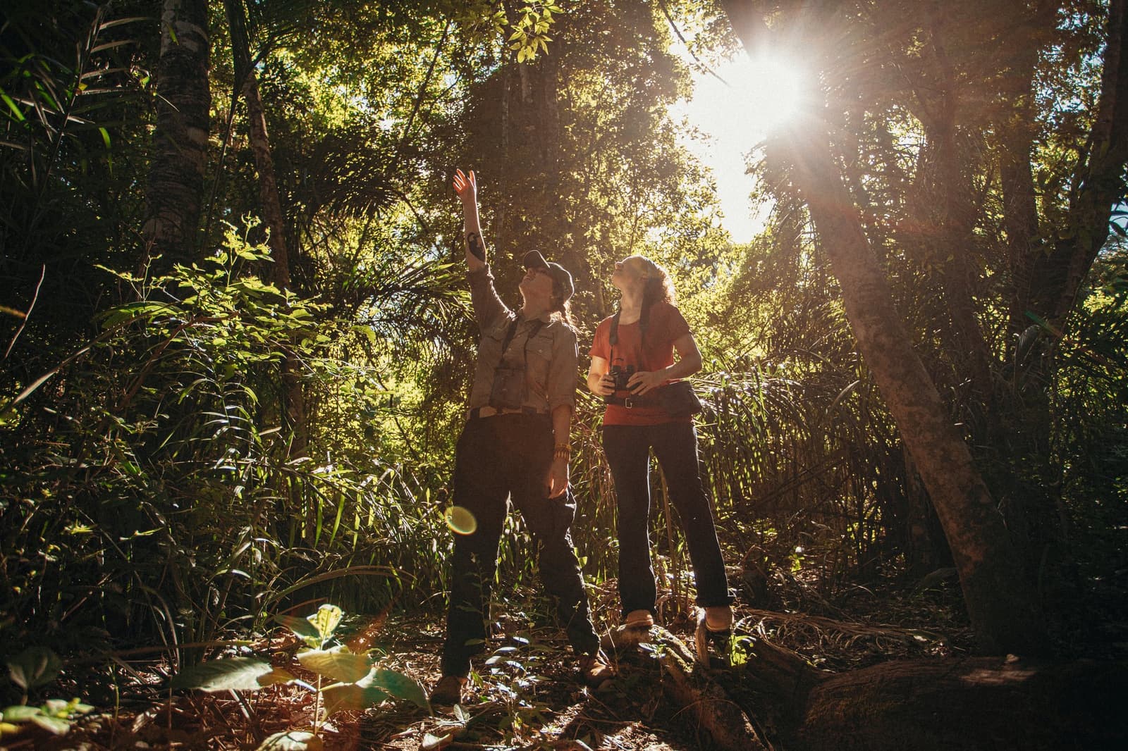 A good guide makes you look up at exactly the right moment. A guide points upward into the forest canopy while a guest holding binoculars looks up during a pantanal luxury safari guided walking trail