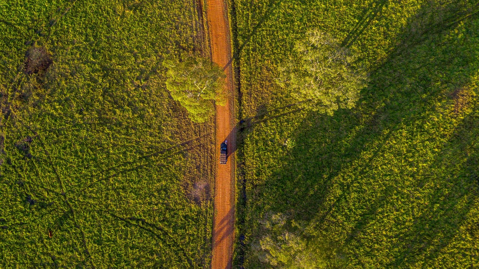 The red earth keeps its own sense of direction, even from up here. Aerial top-down view of a vehicle travelling along a narrow red dirt road cutting through dense green savanna vegetation on a pantanal luxury safari