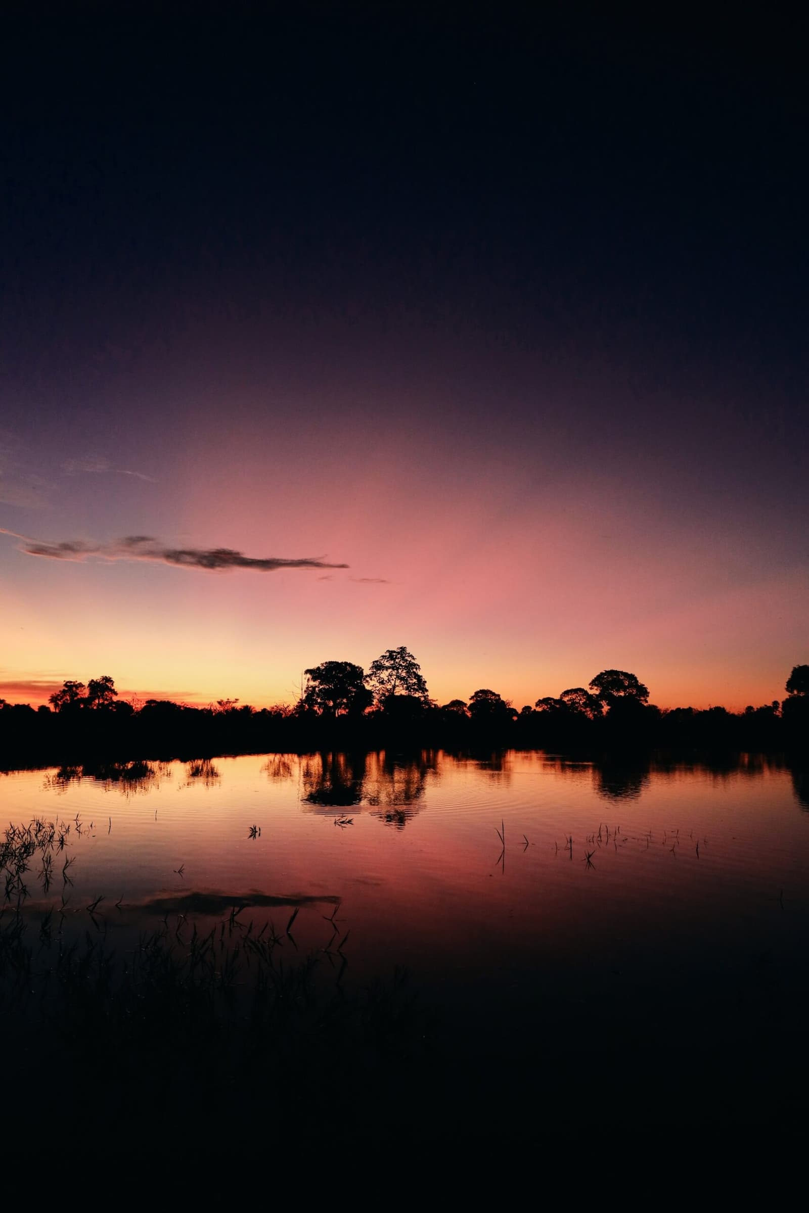 The Pantanal keeps its best colours for the very end of the day. Vivid orange and violet sunset sky reflected in a still wetland, with silhouetted trees lining the horizon on a pantanal luxury safari