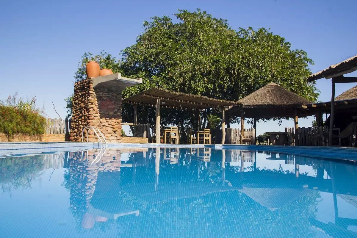 After a morning of wildlife spotting, this pool earns every second. A calm outdoor swimming pool at a Pantanal tour from Campo Grande ecolodge, framed by a stone-column feature, thatched-roof shaded dining area, and a large tree under a clear blue sky