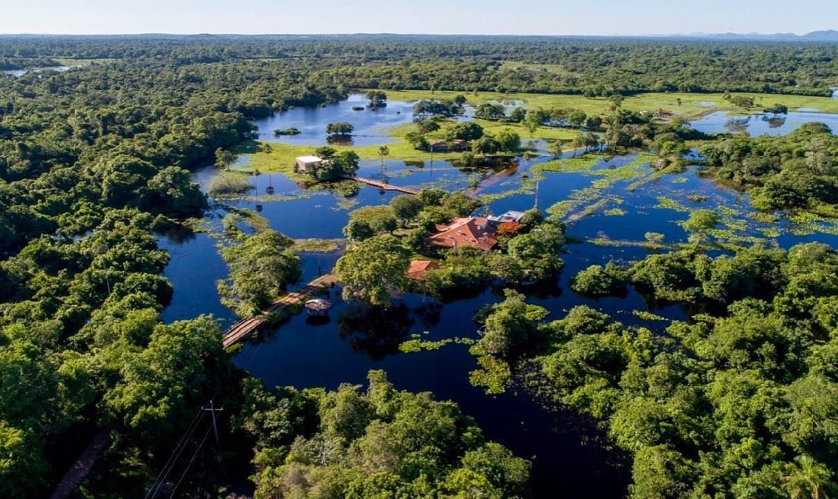 The lodge that becomes an island every wet season, and the guests love it. Aerial view of a remote ecolodge surrounded by flooded wetlands and dense green forest on a pantanal tour from campo grande, with water lilies dotting the dark channels and red-roofed buildings connected by wooden walkways