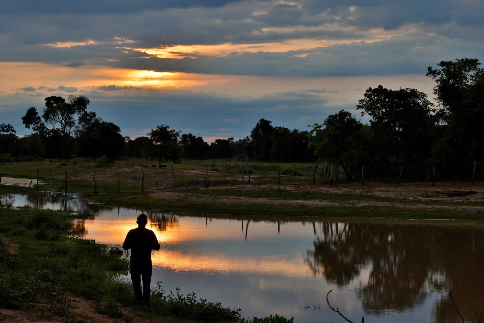 Some evenings the water holds the sky better than the sky does. A silhouetted figure stands at the edge of a still pond reflecting a vivid orange sunset sky, surrounded by trees and open wetland on a pantanal tour from campo grande
