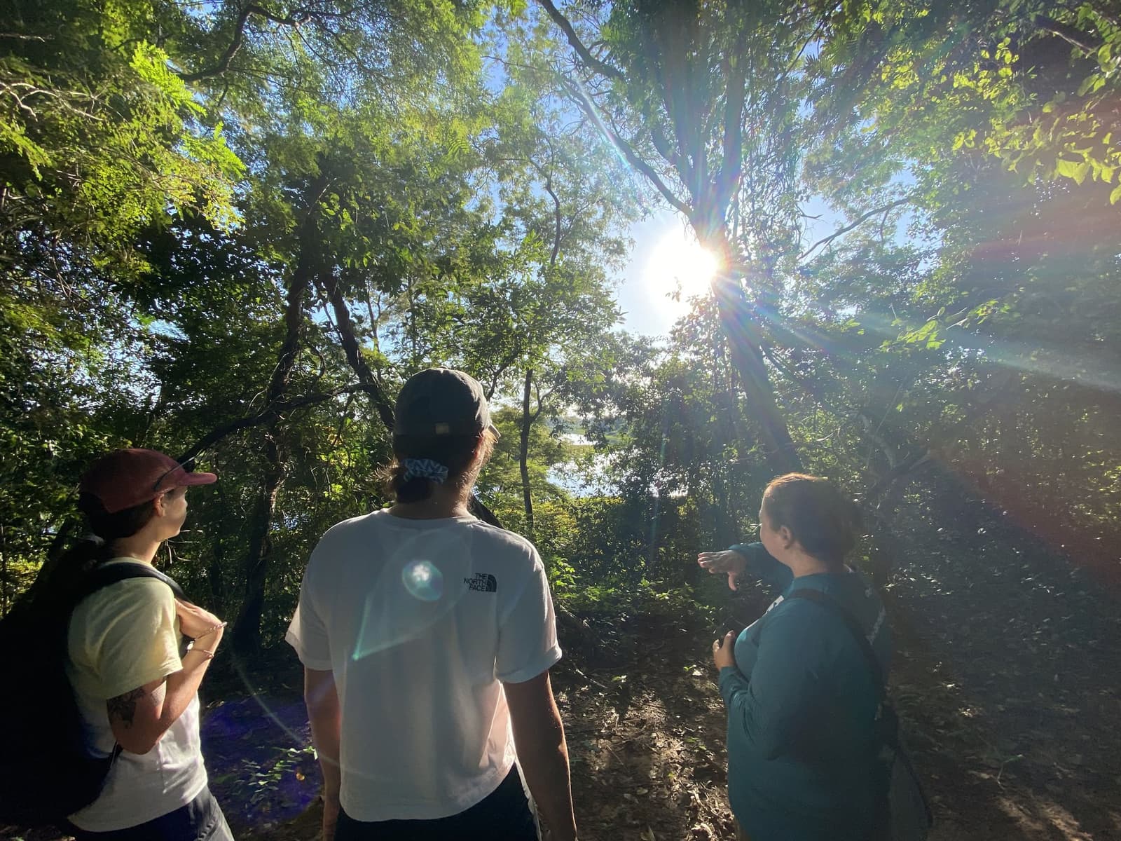 The guide points up, and suddenly everyone sees it. Three visitors pause on a Pantanal Tour from Cuiabá, gazing up through sun-drenched forest canopy as golden light bursts between the treetops